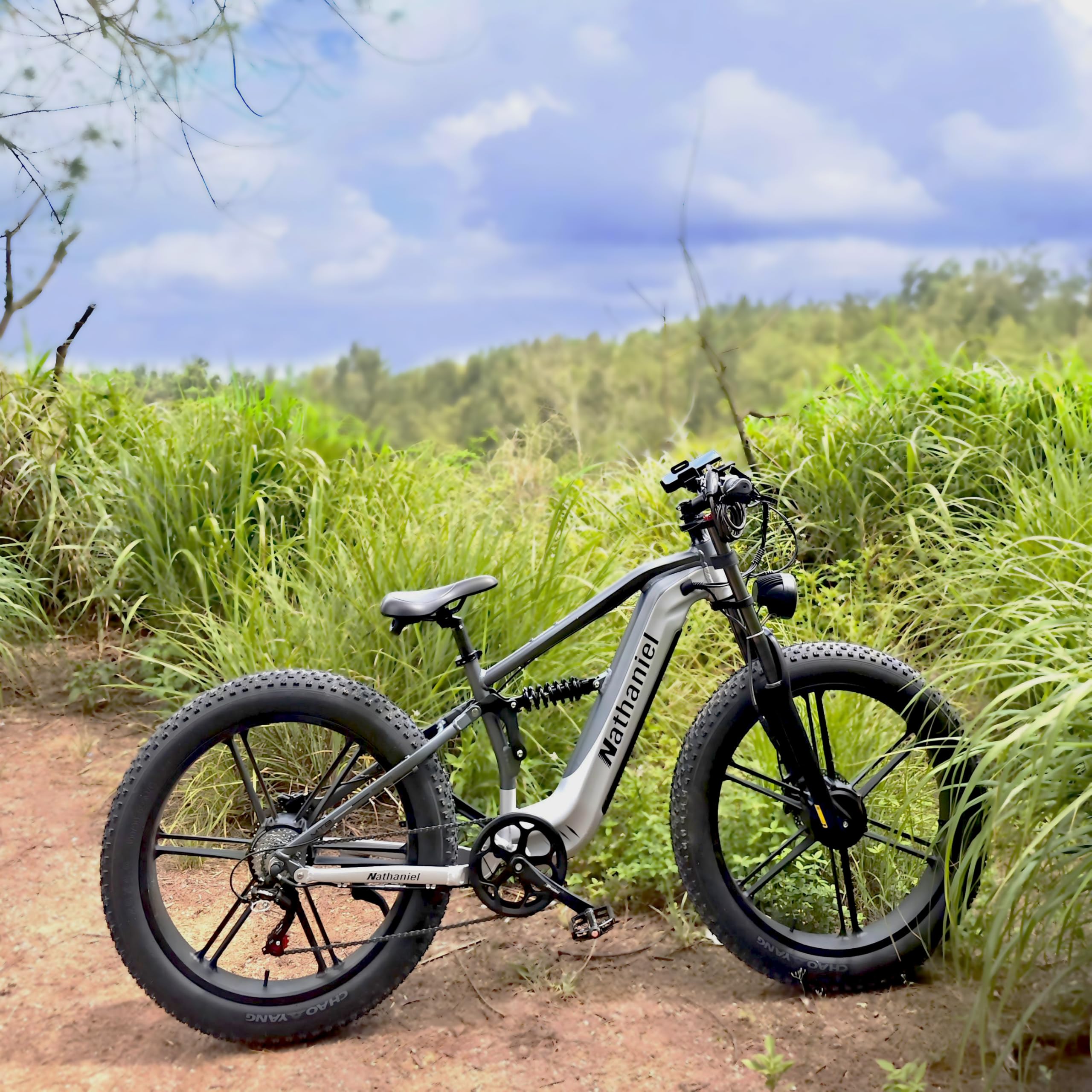 Nathaniel SYR09 Adult Electric Bike, Dual Motor,26 * 4.0Fat Tires,48V20Ah, All Terrain Off-Road E-Bike