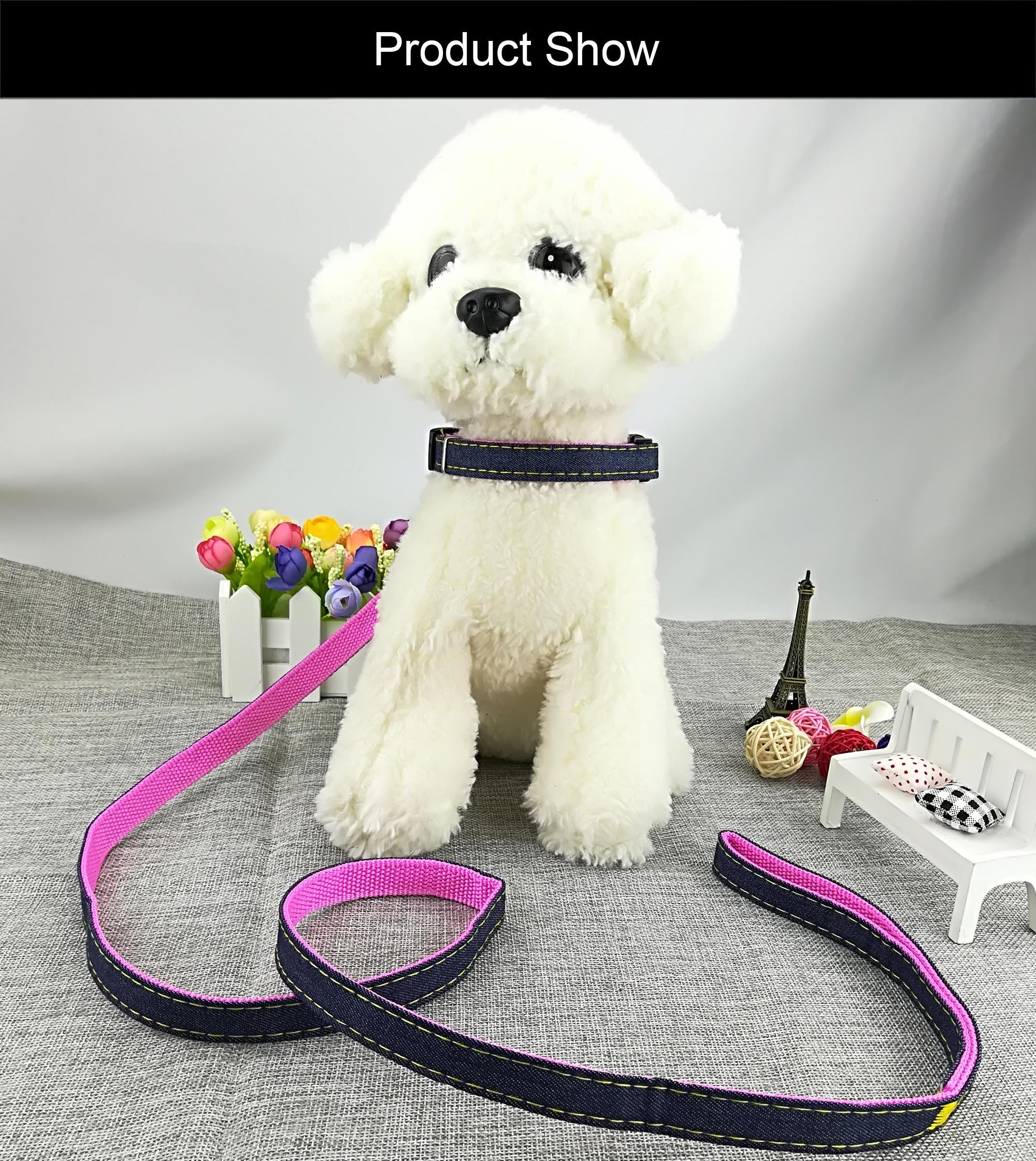 Newtensina 3-teiliges Hundehalsband & Leine Set – Denim-Stoff, 2 Halsbänder + 1 Leine