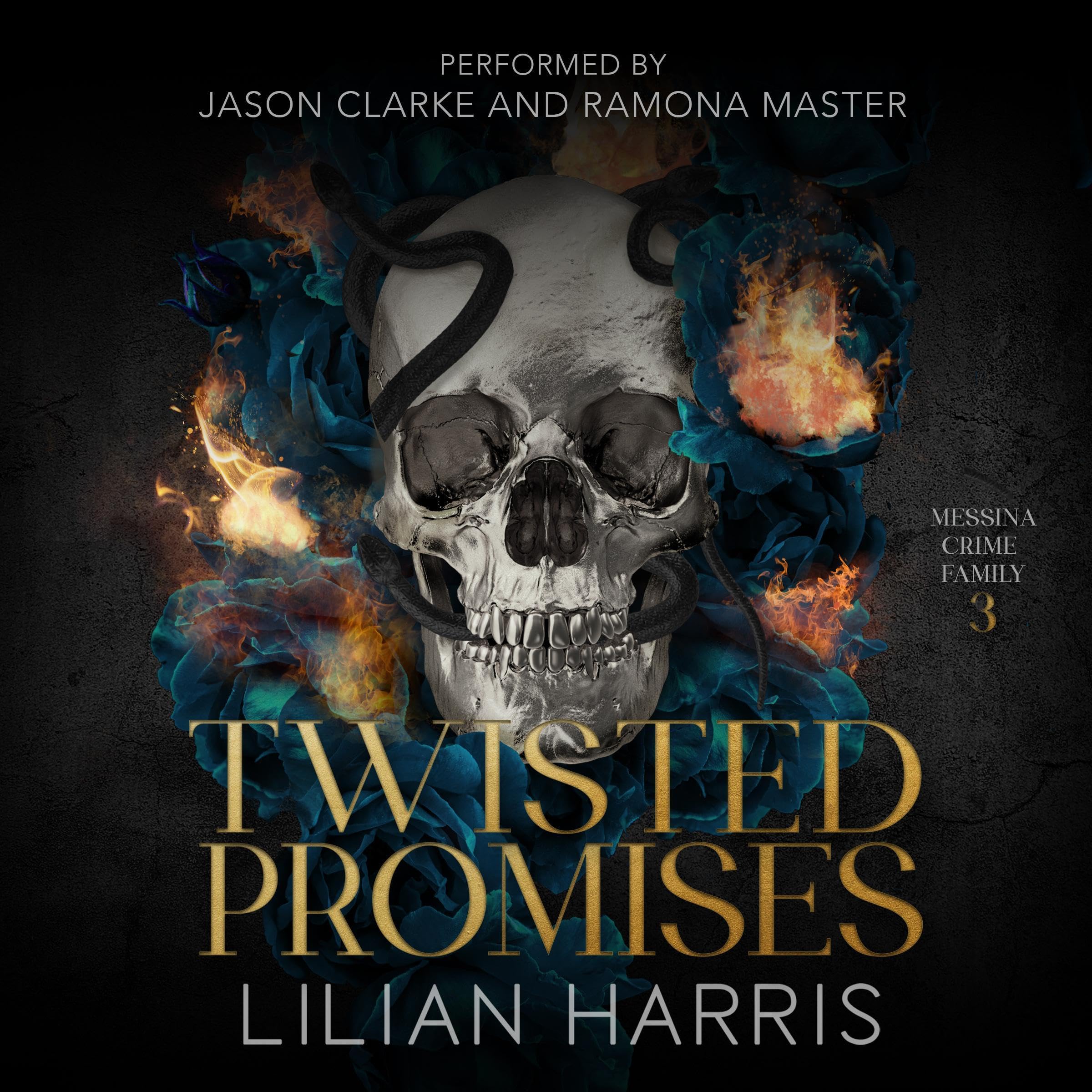 Cover art for Twisted Promises