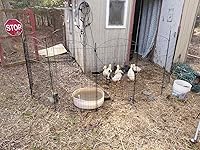Review Image by RV'ing with Birds