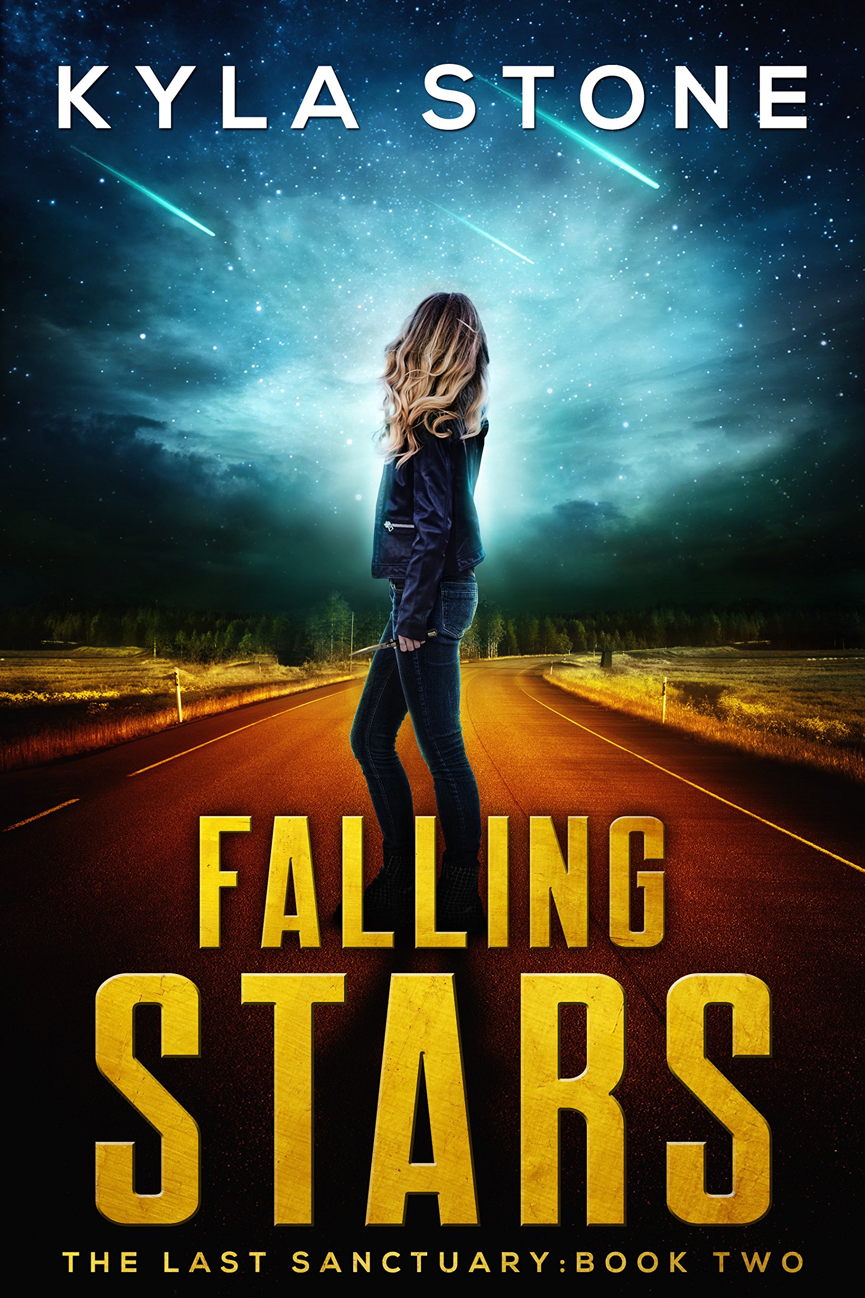 Falling Stars: A Near-Future Apocalyptic Thriller (The Last Sanctuary Book 2)