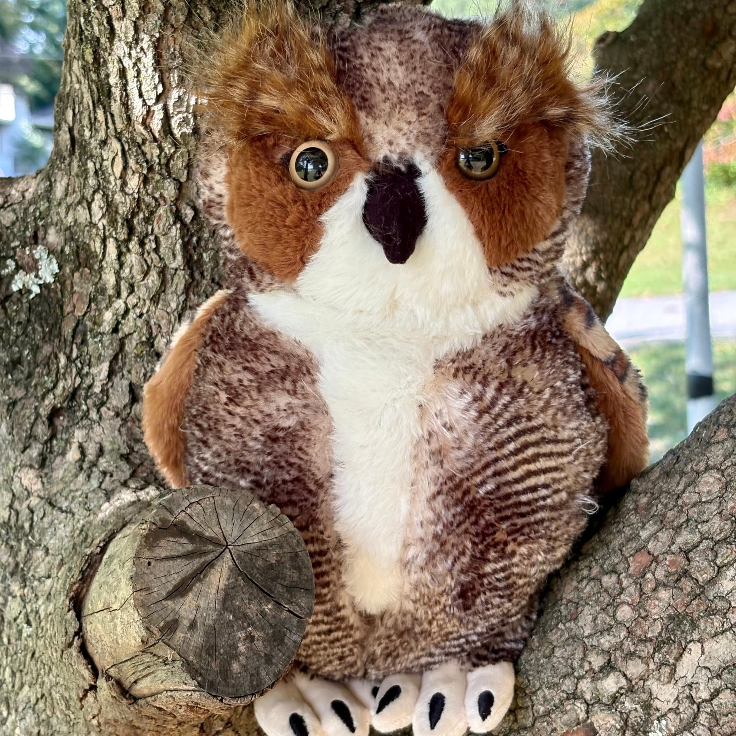 Amazon.com: The Petting Zoo Horned Owl Stuffed Animal Plushie