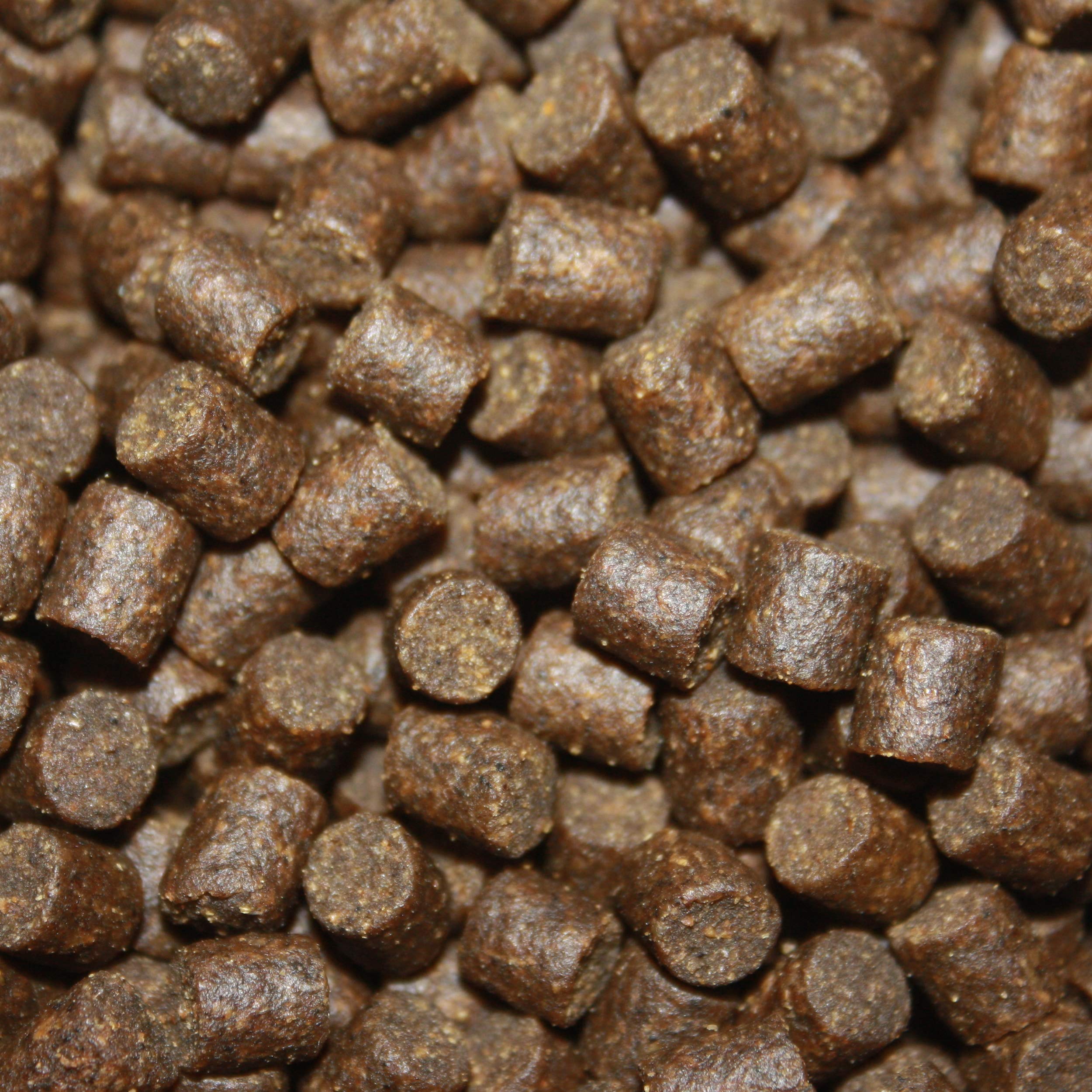 Tomodachi Störfutter groß, Energiefutter Stör perfekt für die ganzjährige Störfütterung, Störsinkfutter hochverdaulich, arktische Rohstoffe, geringe Wasserbelastung, Premium Stör Kraftfutter 8mm 15kg