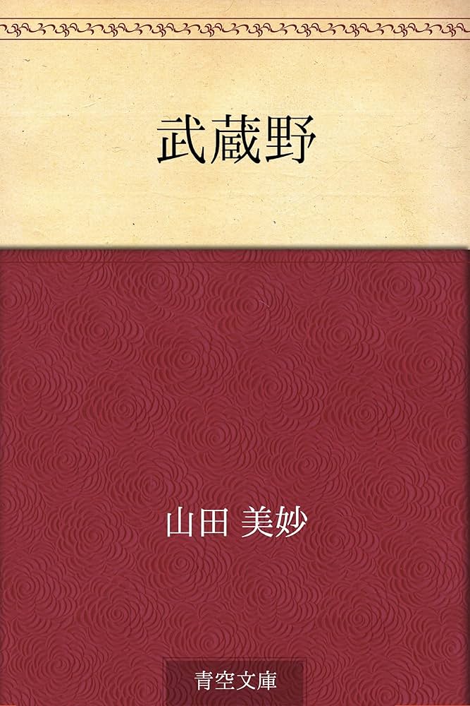 山田美妙集　小説　3巻　4巻　5巻　7巻　8巻　まとめ売り 山田美妙集 小説 3巻 4巻 5巻 7巻 8巻 まとめ売り