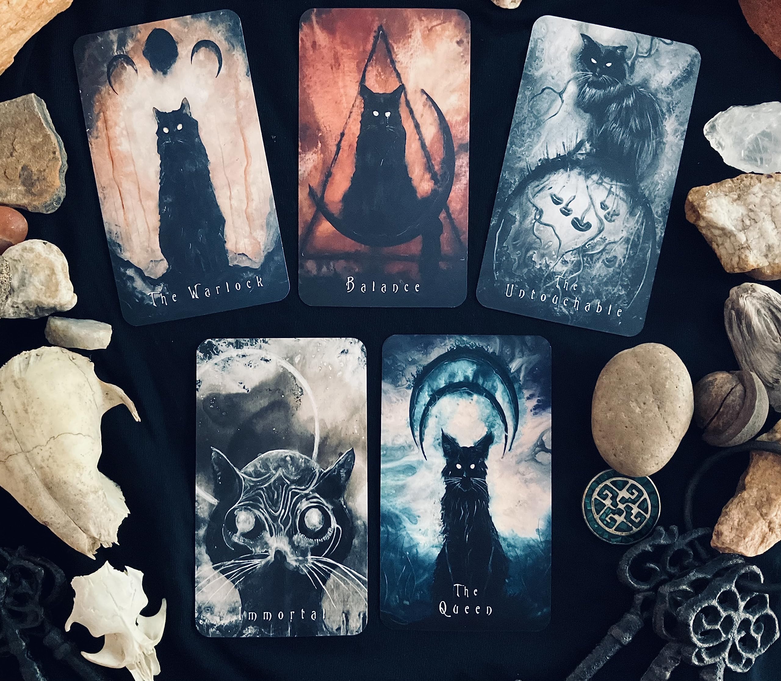 Amazon.com: Shadow Art Finds Fearless Familiar Oracle Deck : Toys