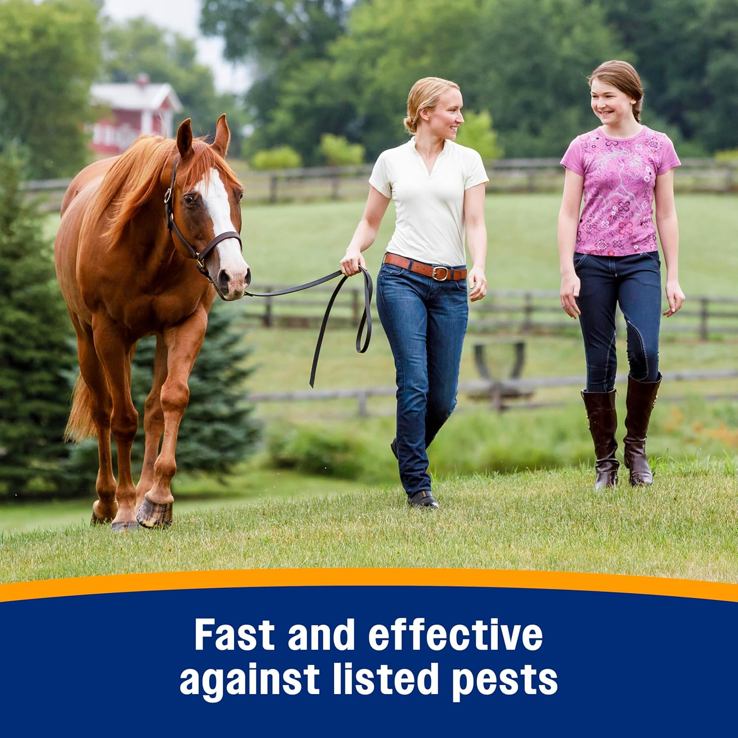 Farnam Bronco Gold Horse Fly Spray, Grooming Aid, Coat Conditioner 128 Ounces, Gallon Refill