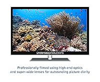 Vista 8 de Reefscapes Nature's Aquarium