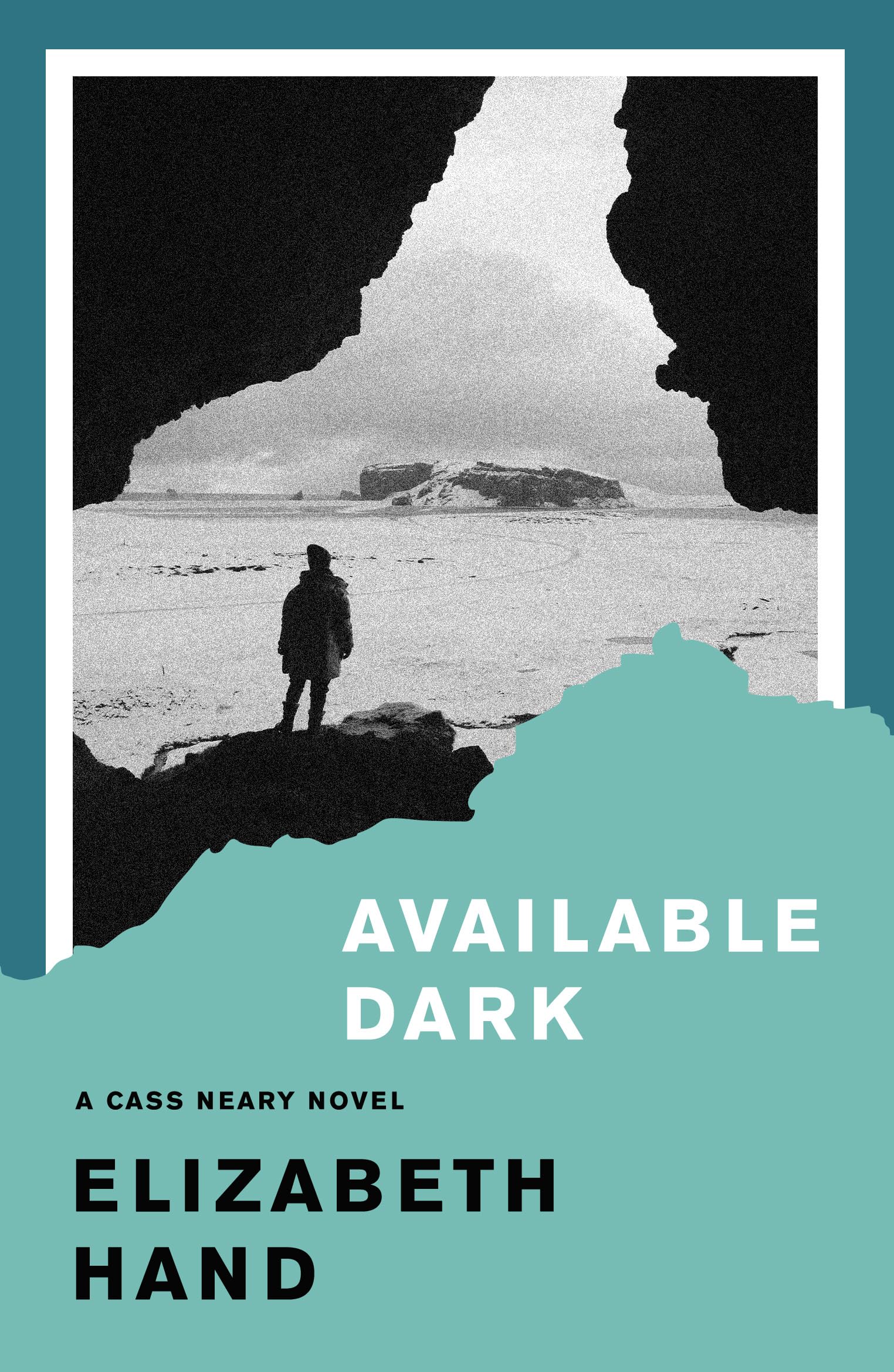 Available Dark (Cass Neary)