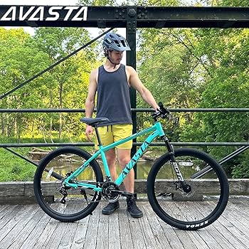 アバスタ AV300, Avasta AV 300 AVASTA AV300 27.5 inch Mountain Bike with 21-Speed，Aluminum Frame