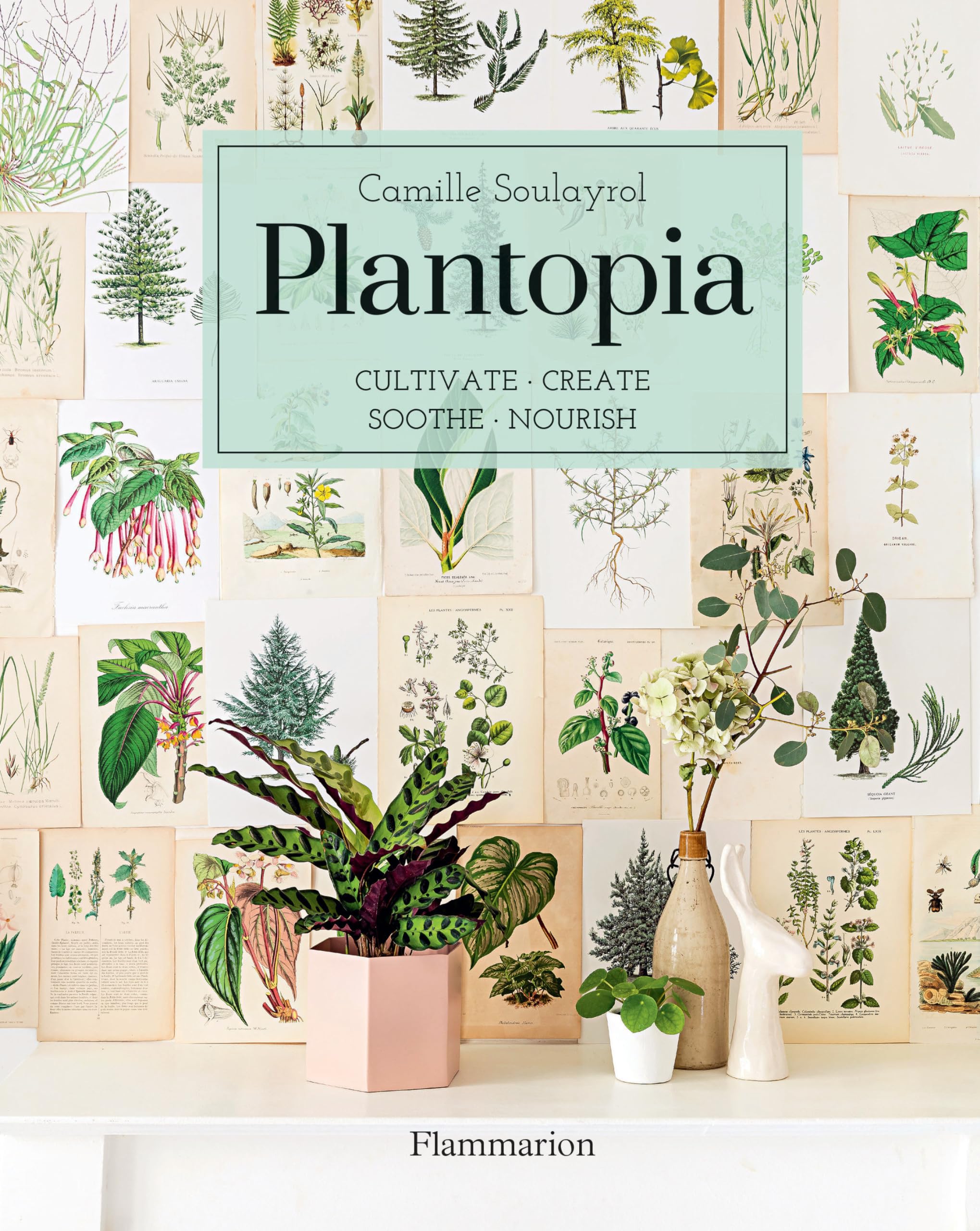 Plantopia: Cultivate / Create / Soothe / Nourish by Camille Soulayrol HARDBACK