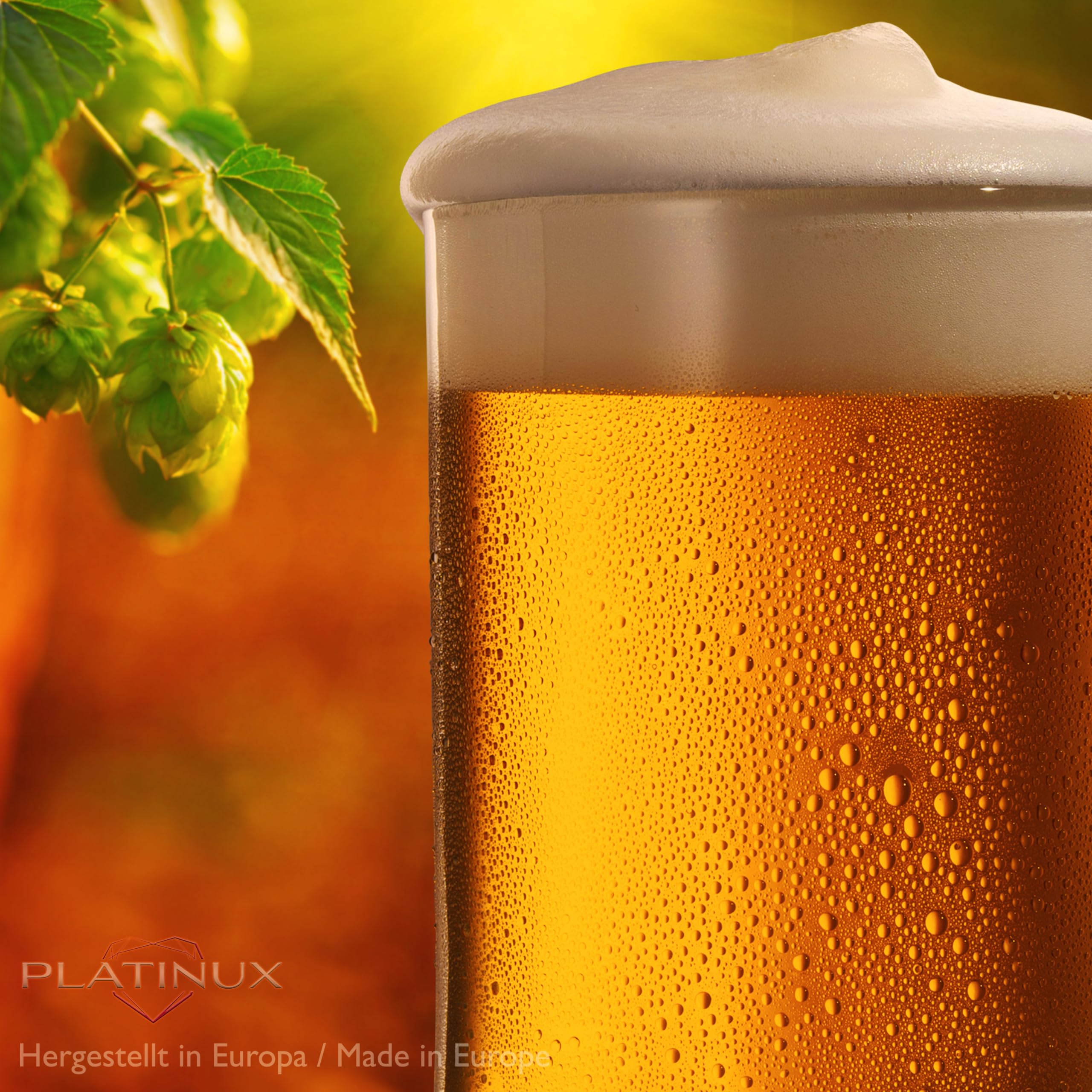 PLATINUX vasos de cerveza de 0,5L con asa juego de jarras de cerveza 6 piezas con patrón de ornamento, clásico
