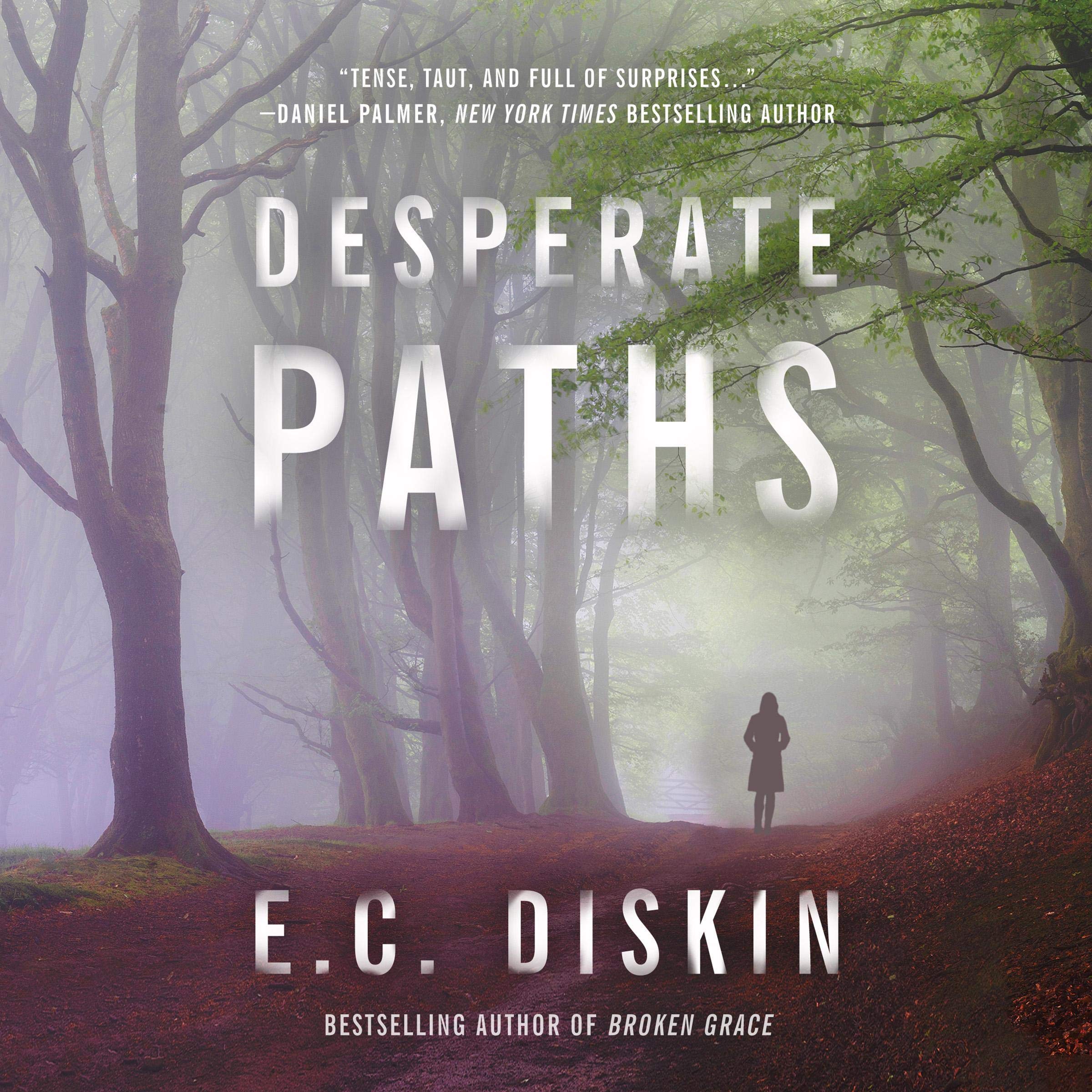 Cover art for Desperate Paths