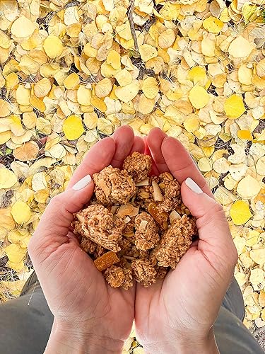 Miniatura 6 de TEMPO GRANOLA Granola orgánica de albaricoque y coco y almendras (paquete de 6) avena orgánica sin gluten, alta en proteínas, baja en azúcar,