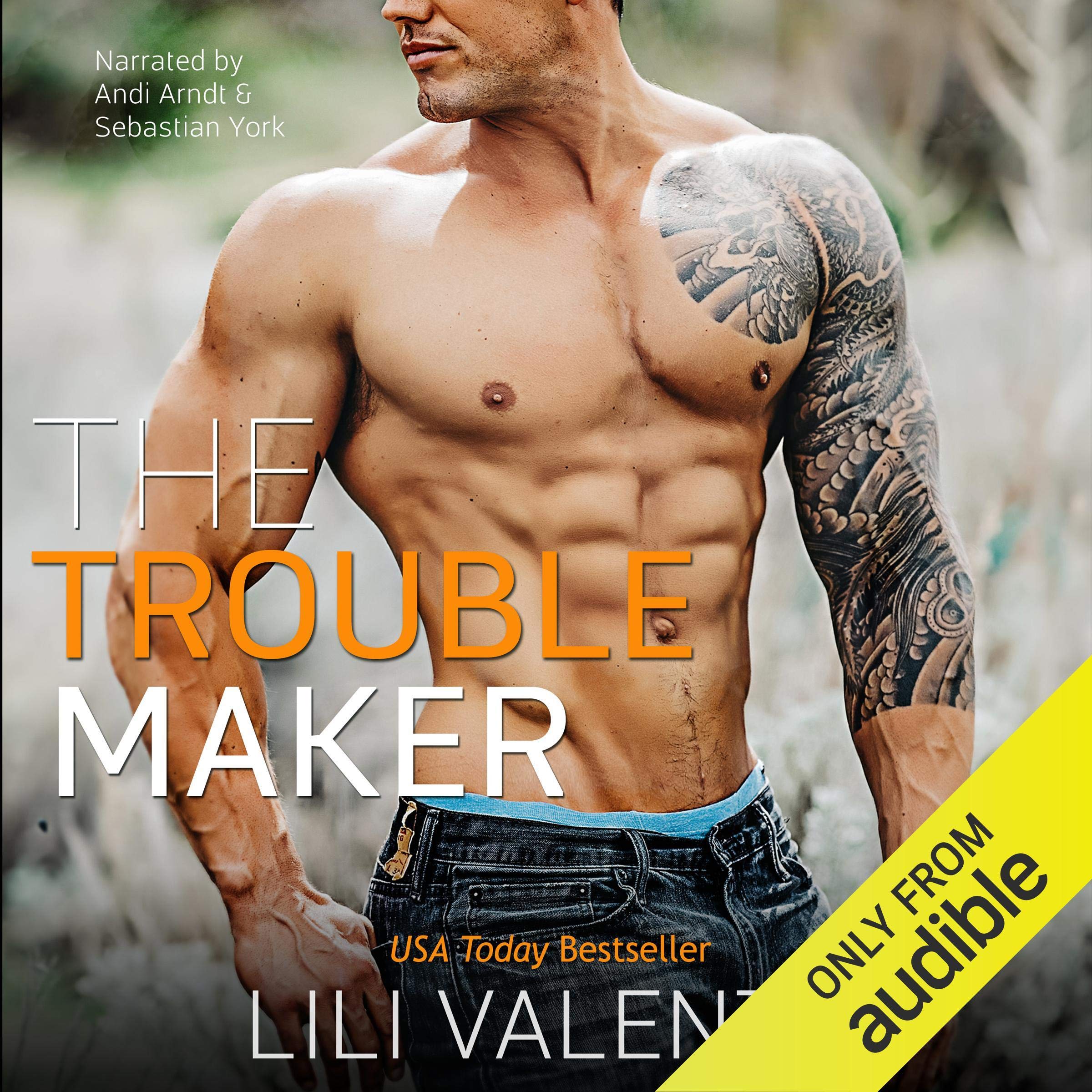 Cover art for The Troublemaker