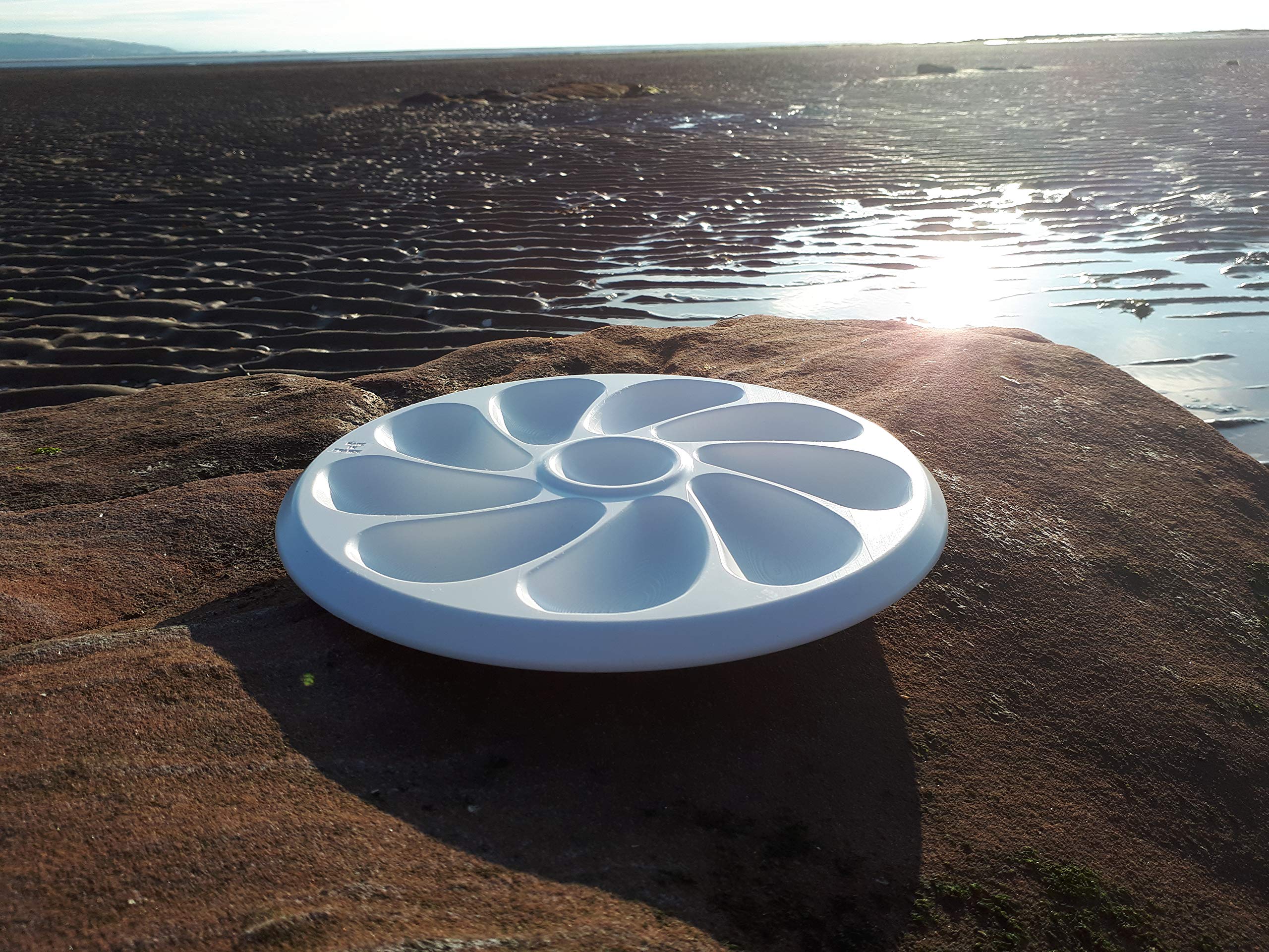 Lot de 6 - Assiette à Huîtres en Plastique – 9 Places