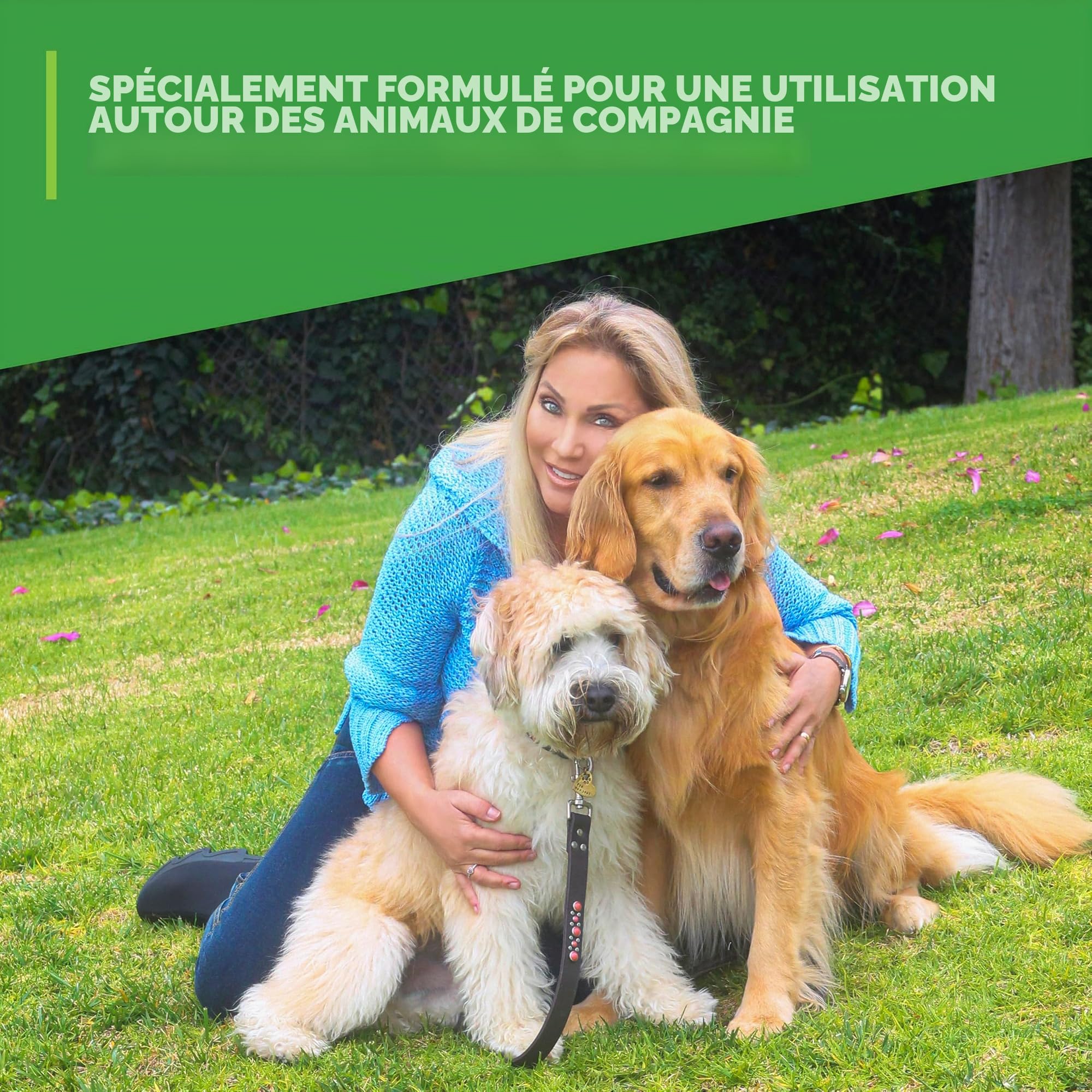 Simple Green – Éliminateur d'odeurs d'extérieur pour animaux domestiques, chiens, idéal pour gazon artificiel et terrasse (pulvérisateur de 910 ml et recharge de 4,5 L)
