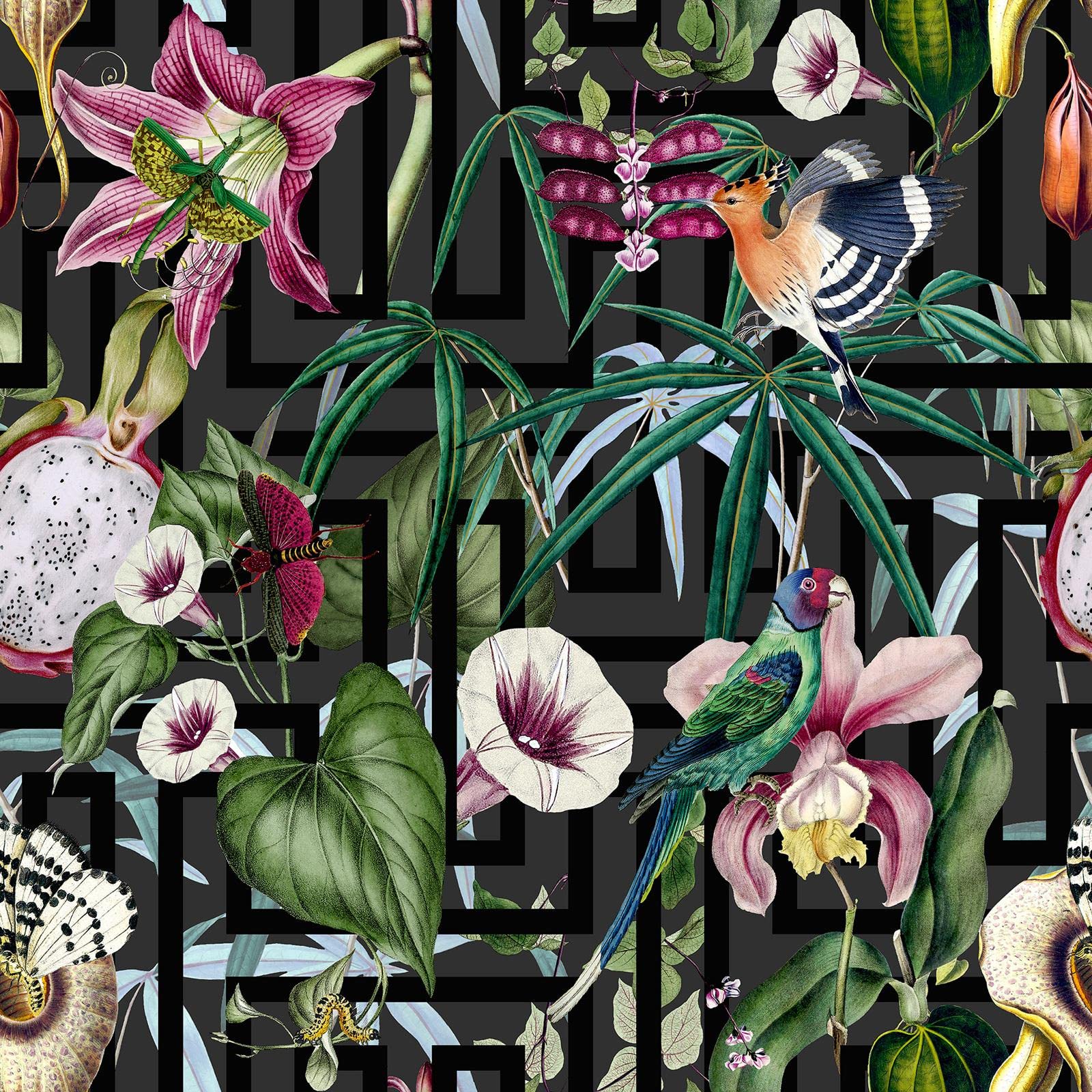 Yöl Full Roll Arthouse Tropical Infinity Geometric Paul Moneypenny Wallpaper Black
