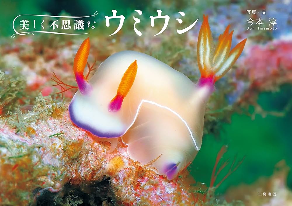 ウミウシガイドブック　洋書　美品　Nudibranchs ウミウシ ガイドブック 洋書 Nudibranch ウミウシ図鑑