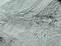 Review Image by PB Ninja PB Ninja