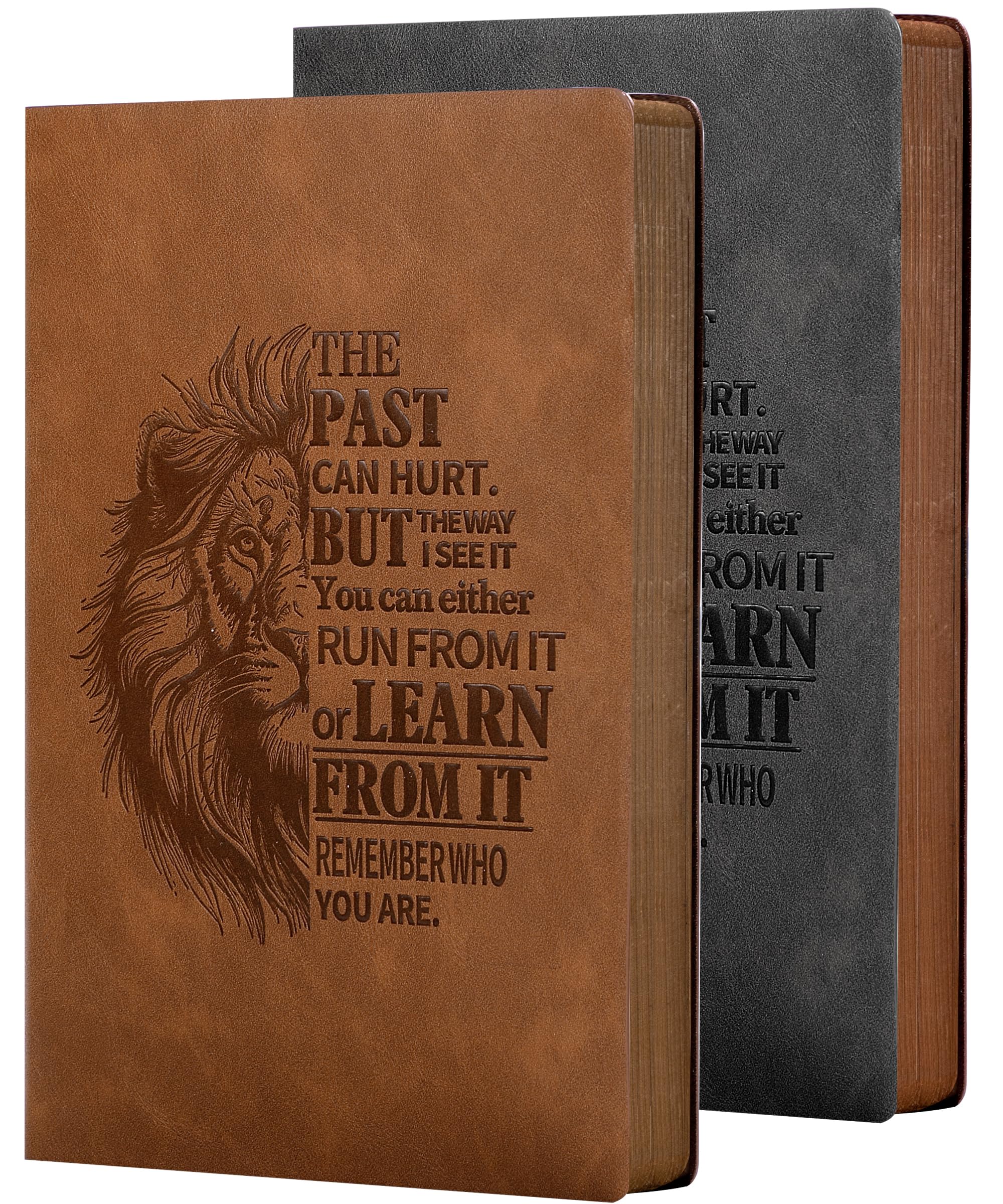 MINICAGIE 2 Pack A5 Lined Journal for Men Soft Cover Journals for Writing with 256 Pages Vintage Lion Journaling Notebooks (Brown and Black, A5)