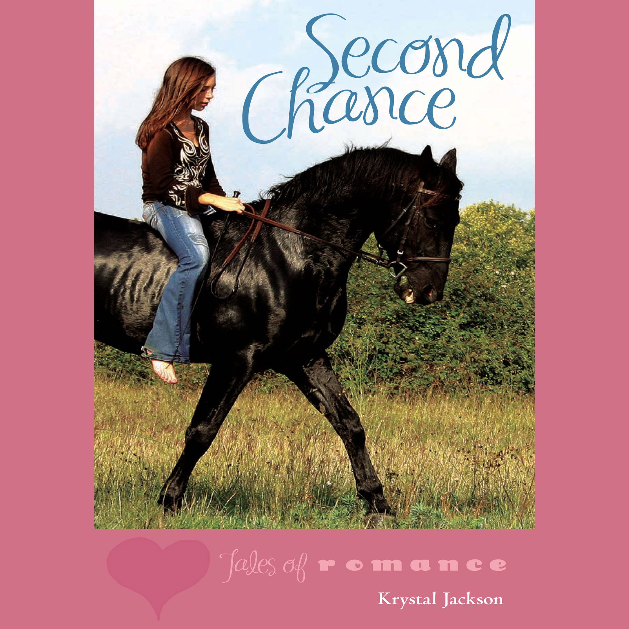 Cover art for Second Chance