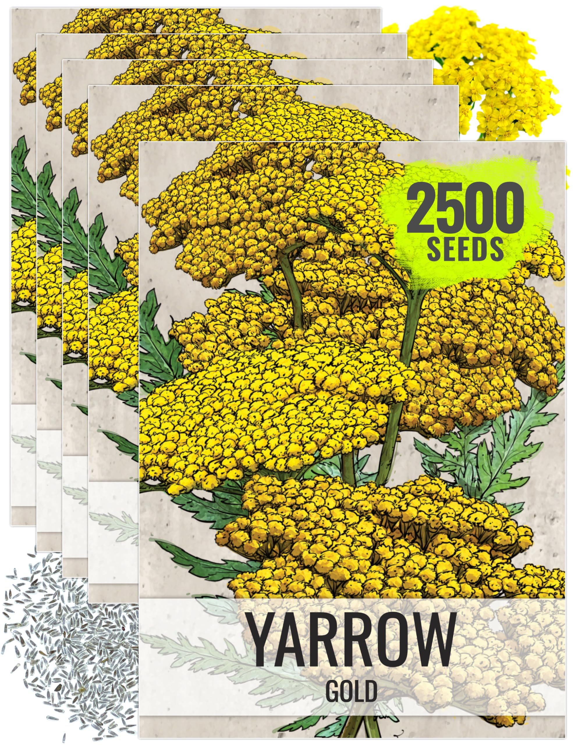 Seed Needs Gold Yarrow Seeds