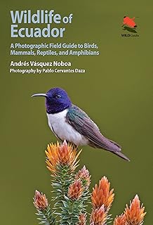 Wildlife of Ecuador: A Photographic Field Guide to Birds, Mammals, Reptiles, and Amphibians (Wildlife Explorer Guides)