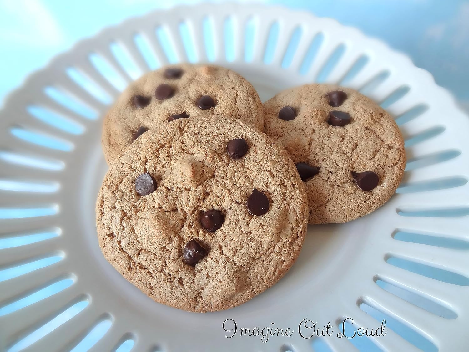 Faux Chocolate CHIP Cookie Set Fake Food Prop