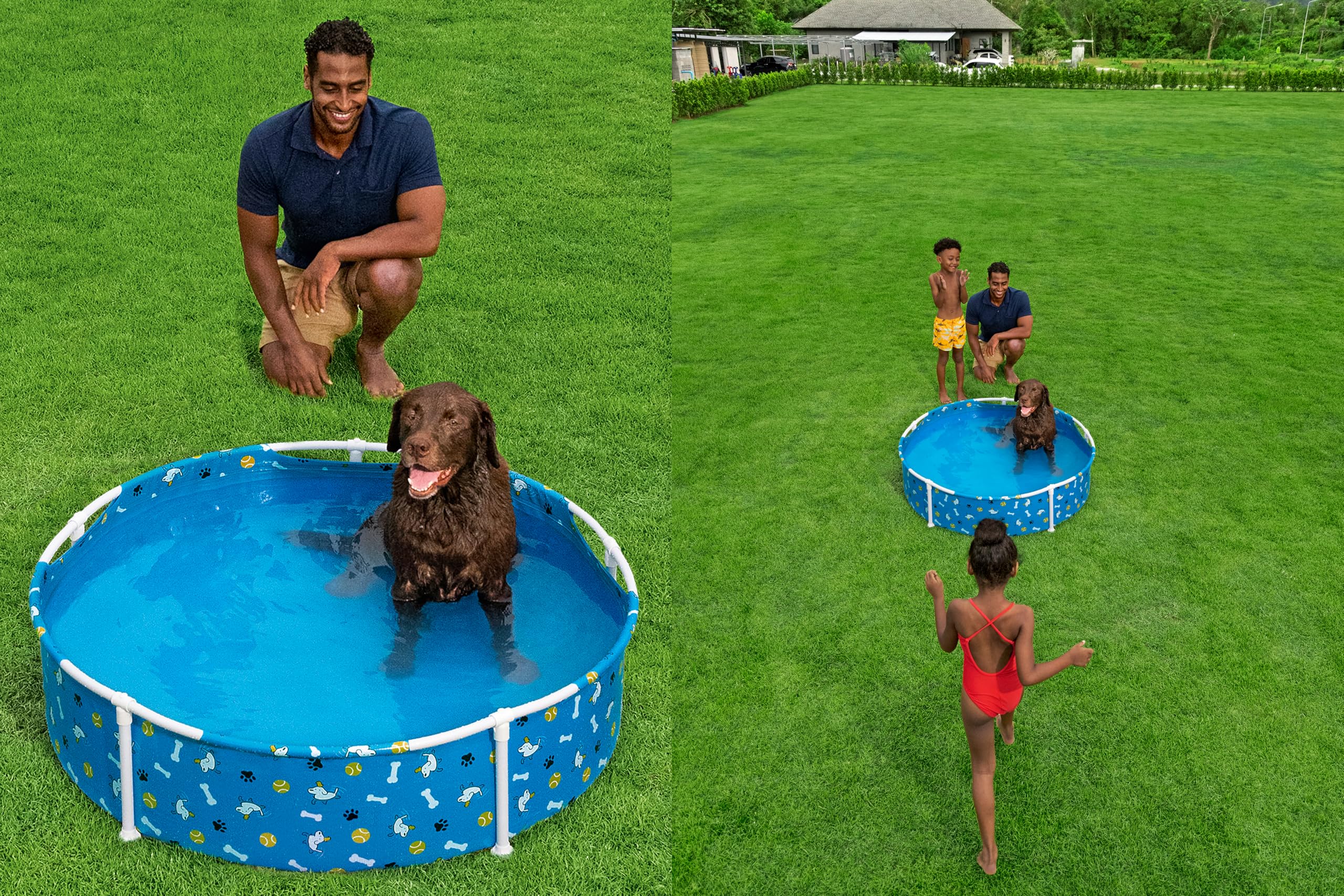 Bestway Piscine pour Animal Fetchin' Fun - 122 cm x 122 cm x 38 cm - Bleu