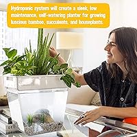 Vista 3 de Back to the Roots Jardín hidropónico de interior – Maceta de riego automático de 3 galones, sin desorden para hierbas, microverdes, bambú