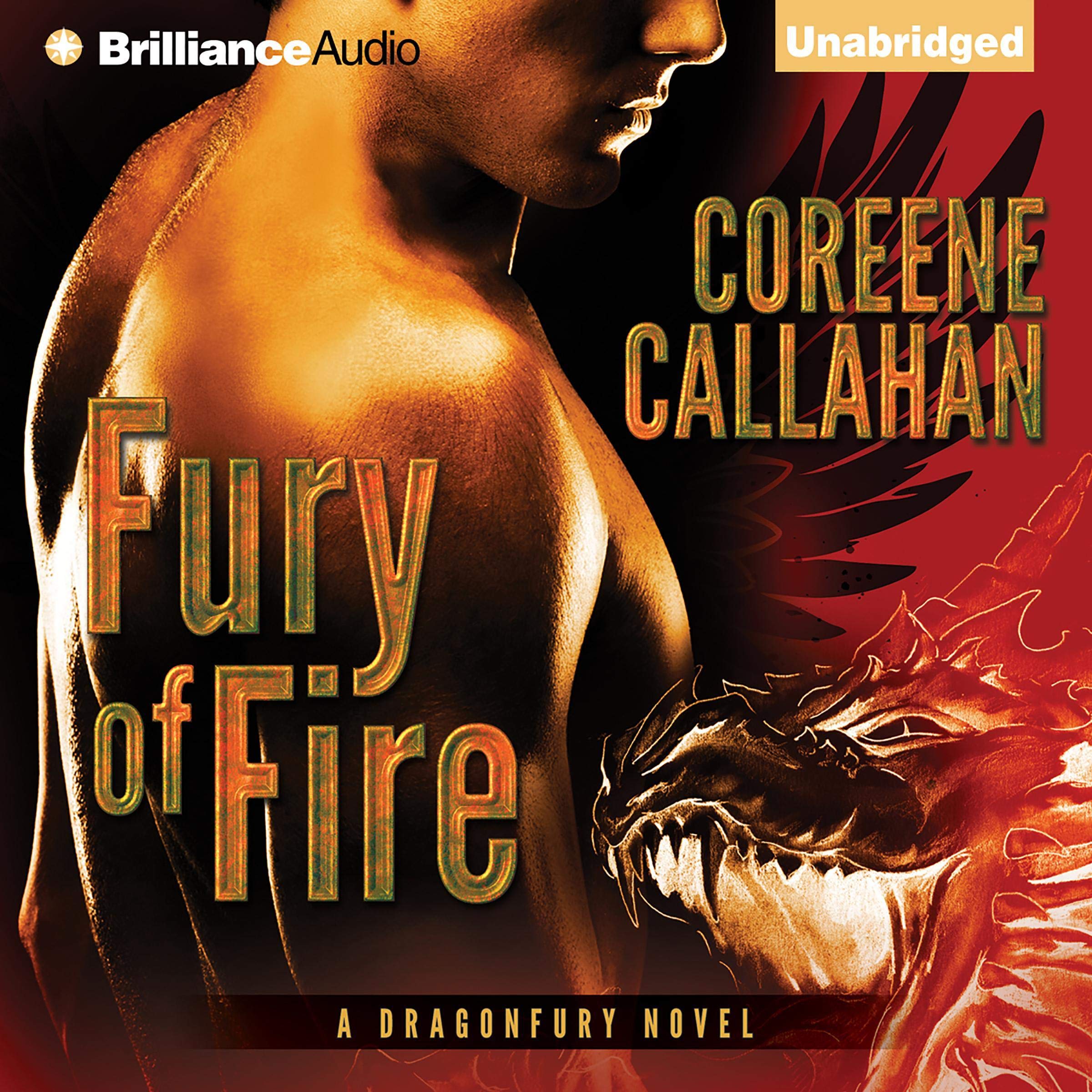 Cover art for Fury of Fire