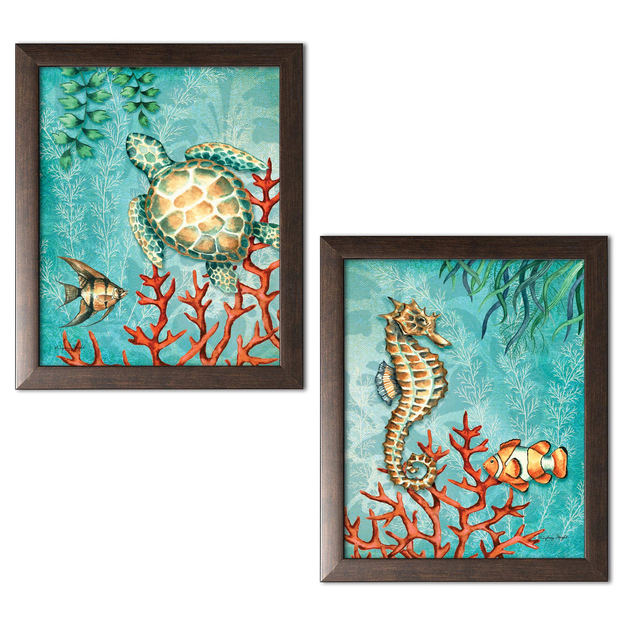 【タグあり】 turtle seahorse Amazon.com: Sea Life Turquoise and Orange Under the Ocean Fish