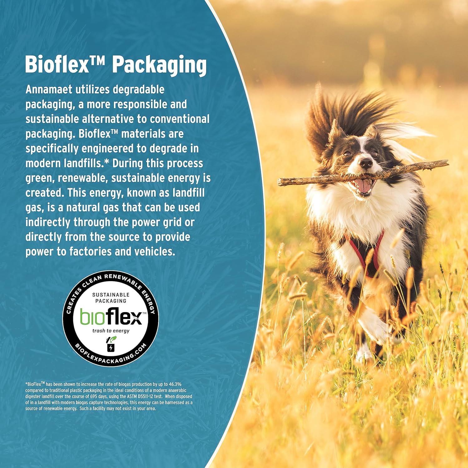 Annamaet Grain-Free Aqualuk Cold Water Fish Formula Dry Dog Food, (Salmon & Herring), 25-lb Bag