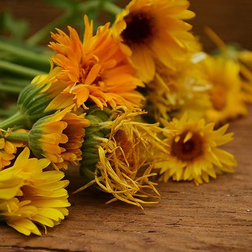 Pacific Beauty Calendula - 250 Seeds - Heirloom Pot Marigold