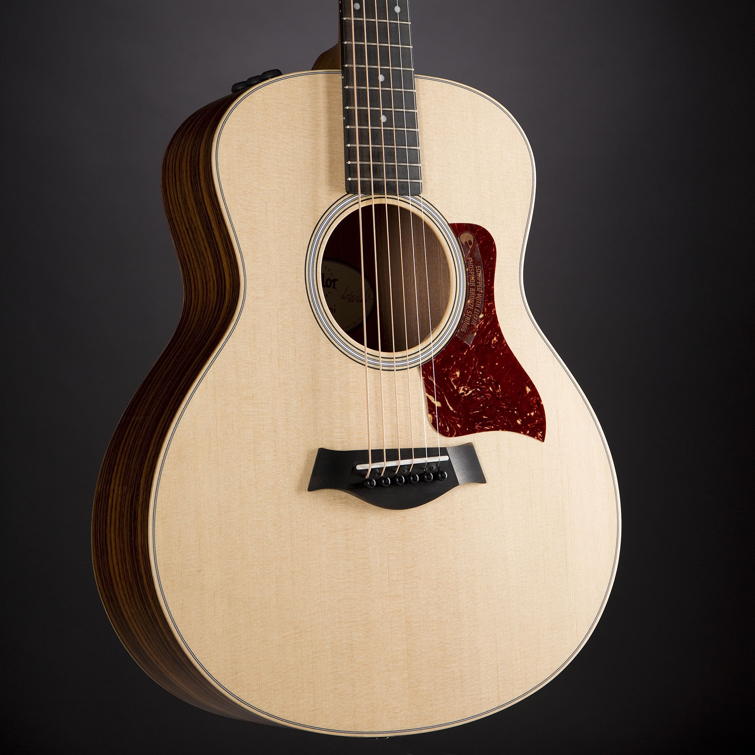 Taylor GS, Chitarra acustica, Mini