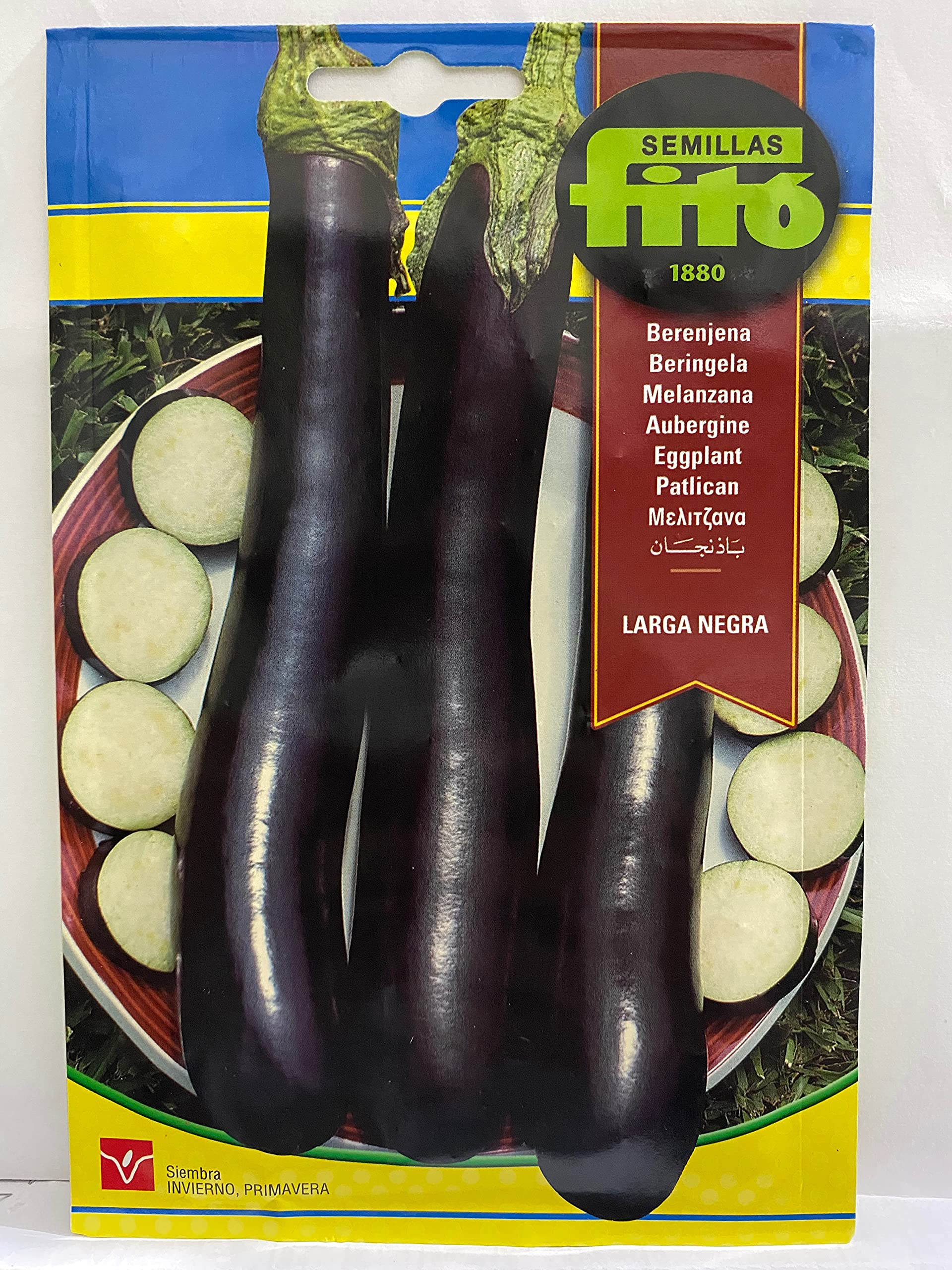 Semillas Fitó FITO® SEEDS – LARGE EGGPLANT (5 Grams.) – بذور باذنجان