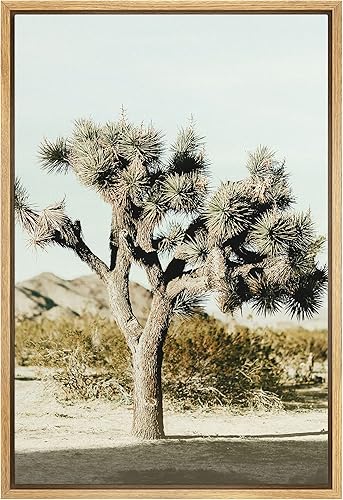 SIGNWIN Lienzo enmarcado para pared, duna del desierto del suroeste botánico, árbol Josha, naturaleza, desierto, fotografía, realismo, rústico,