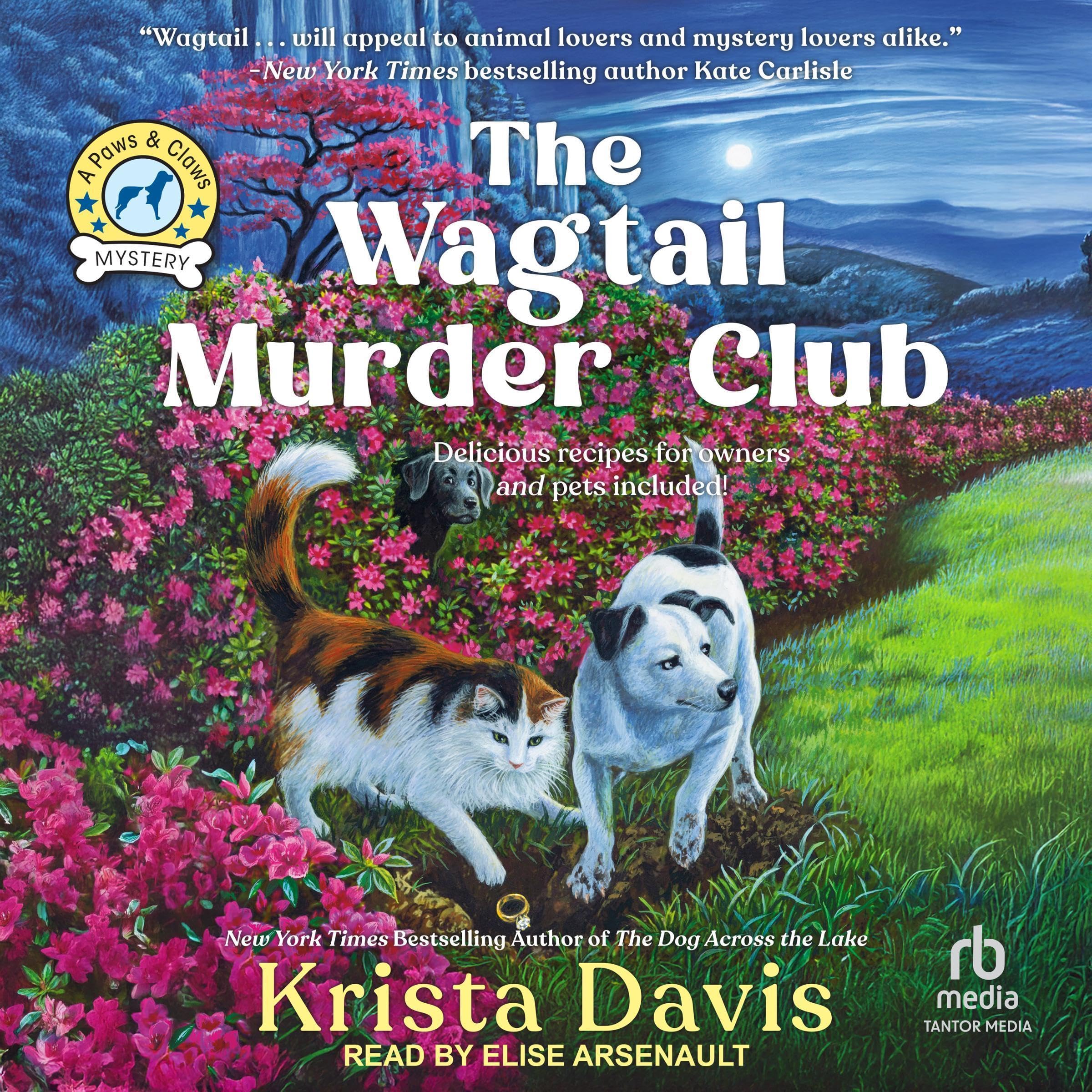 Cover art for The Wagtail Murder Club