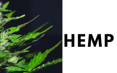 Hemp