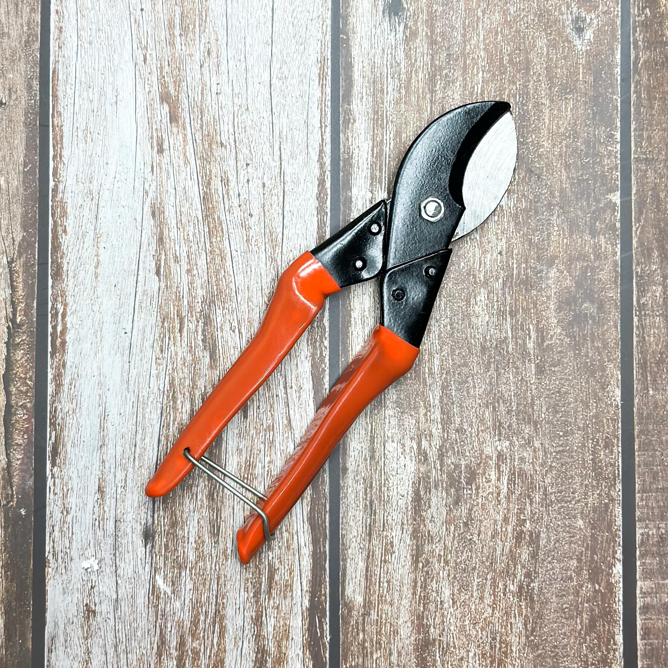 Gtree Gardening Double Cut Pruner | Cutter for Trimming Pruning | 1pc | Indoor Gardening, terrace gardening | Tool for Gardening | Cutter for Indoor plant Cutting