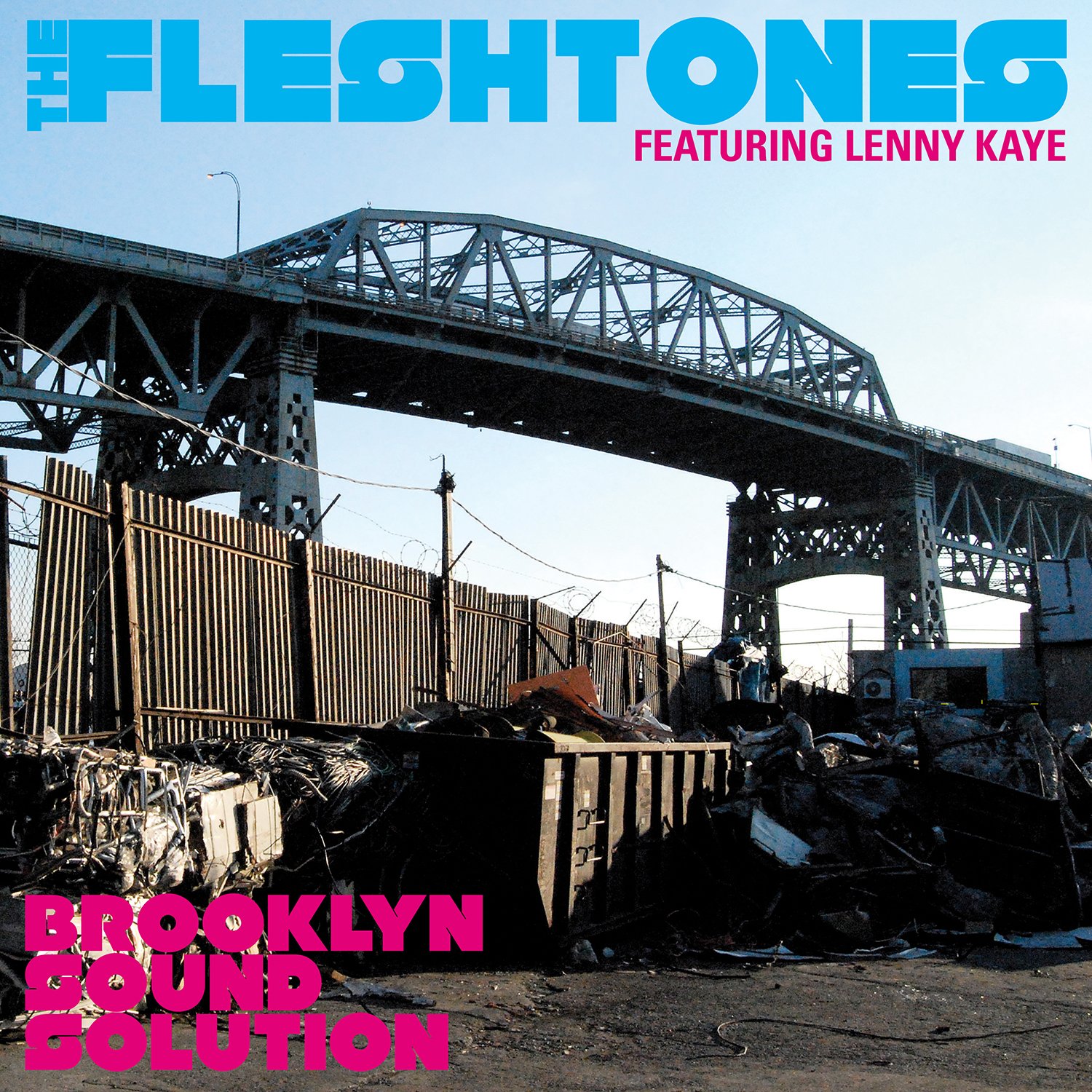 Brooklyn Sound Solution by The Fleshtones (CD, 2011)