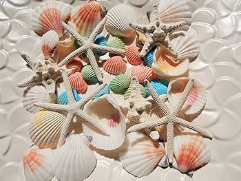 Amazon | 天然素材 貝殻セット スターフィッシュ カラーシェル 白い