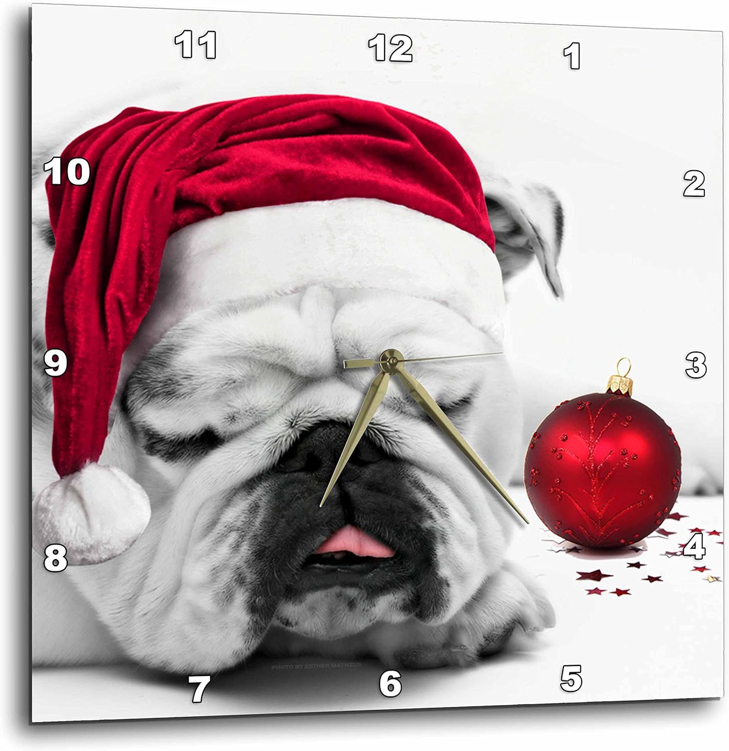 3dRose DPP_62826_3 Sleeping Bulldog in a Santa Hat Christmas Card Photo Courtesy of Esther Mathews Wall Clock, 15 by 15"
