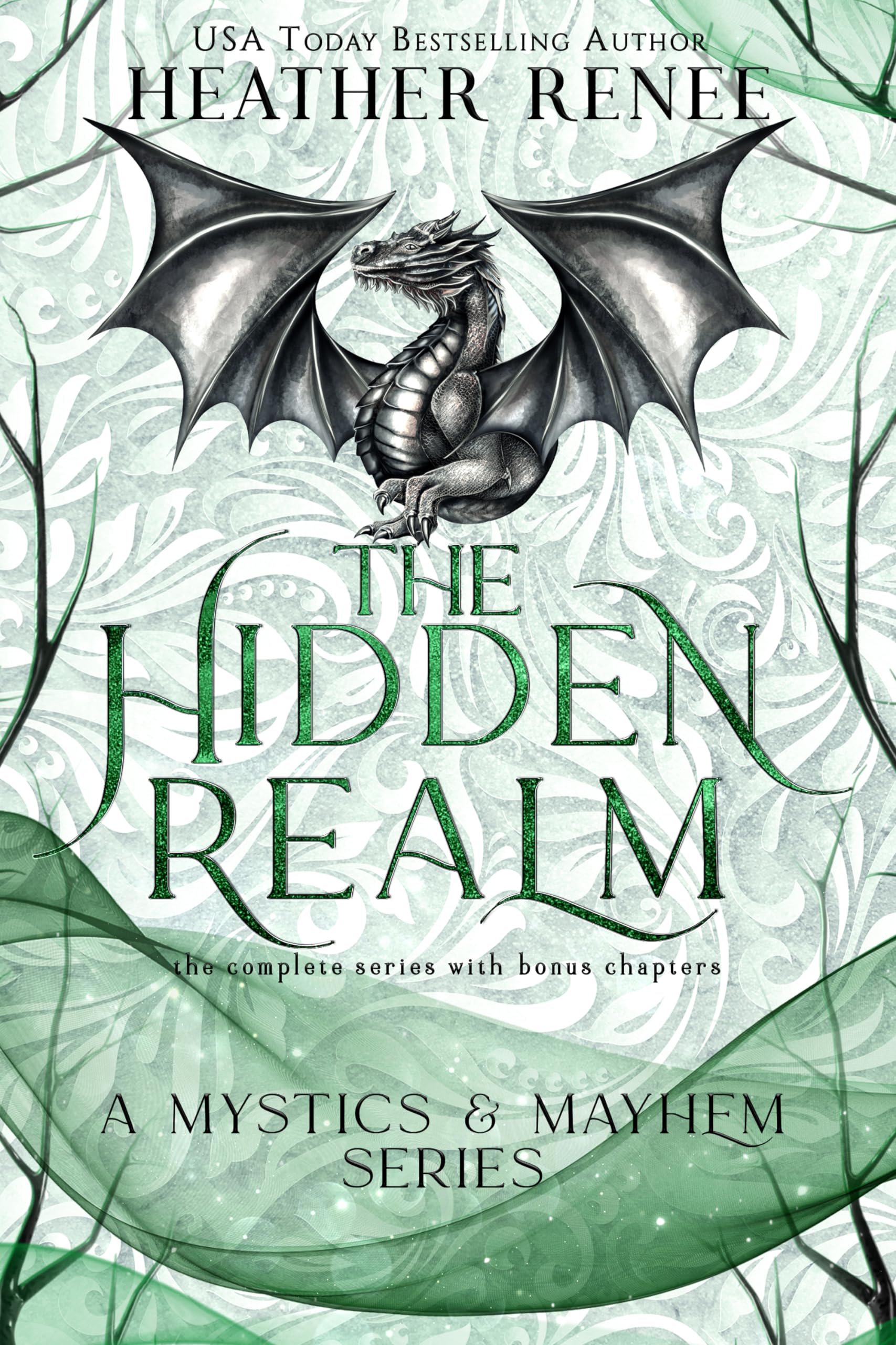 Book cover for The Hidden Realm: The Complete Series