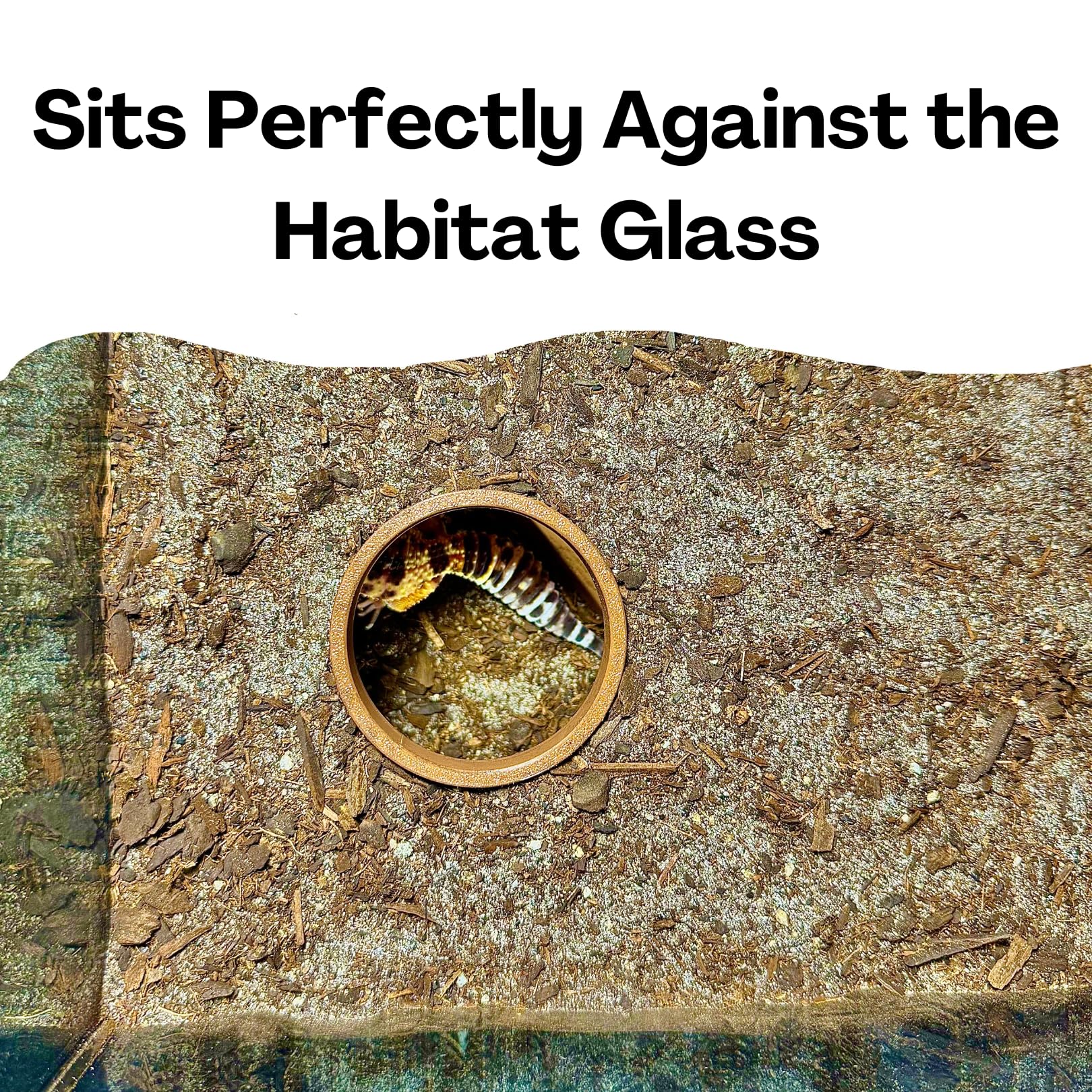 Reptile Corner Underground Cave Viewing Hide | Hognose Snake, Corn