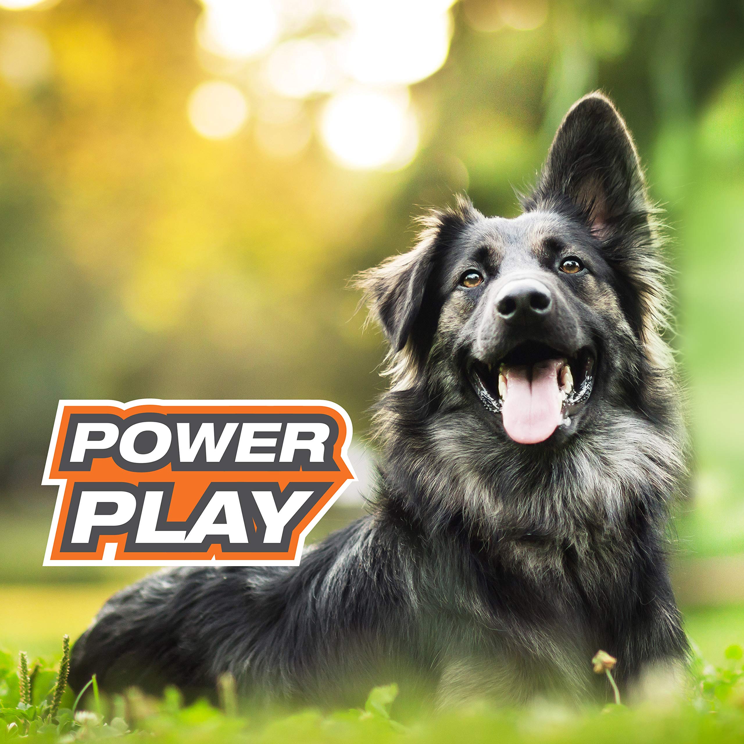 Nylabone Power Play - Juguetes interactivos para Perros, Juguetes de enriquecimiento para Perros para la Mejor Experiencia de Juego