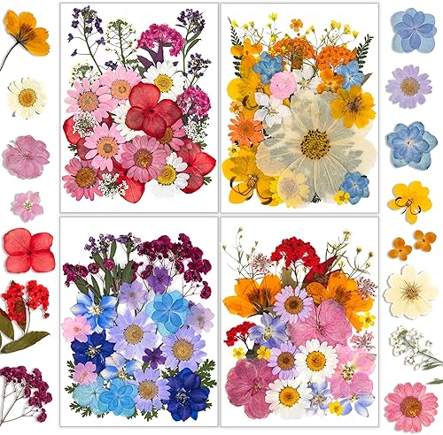 Vista 19 de Resiners - Flores secas, 100 piezas de flores prensadas para manualidades, color amarillo, flores secas naturales, kit de hojas secas