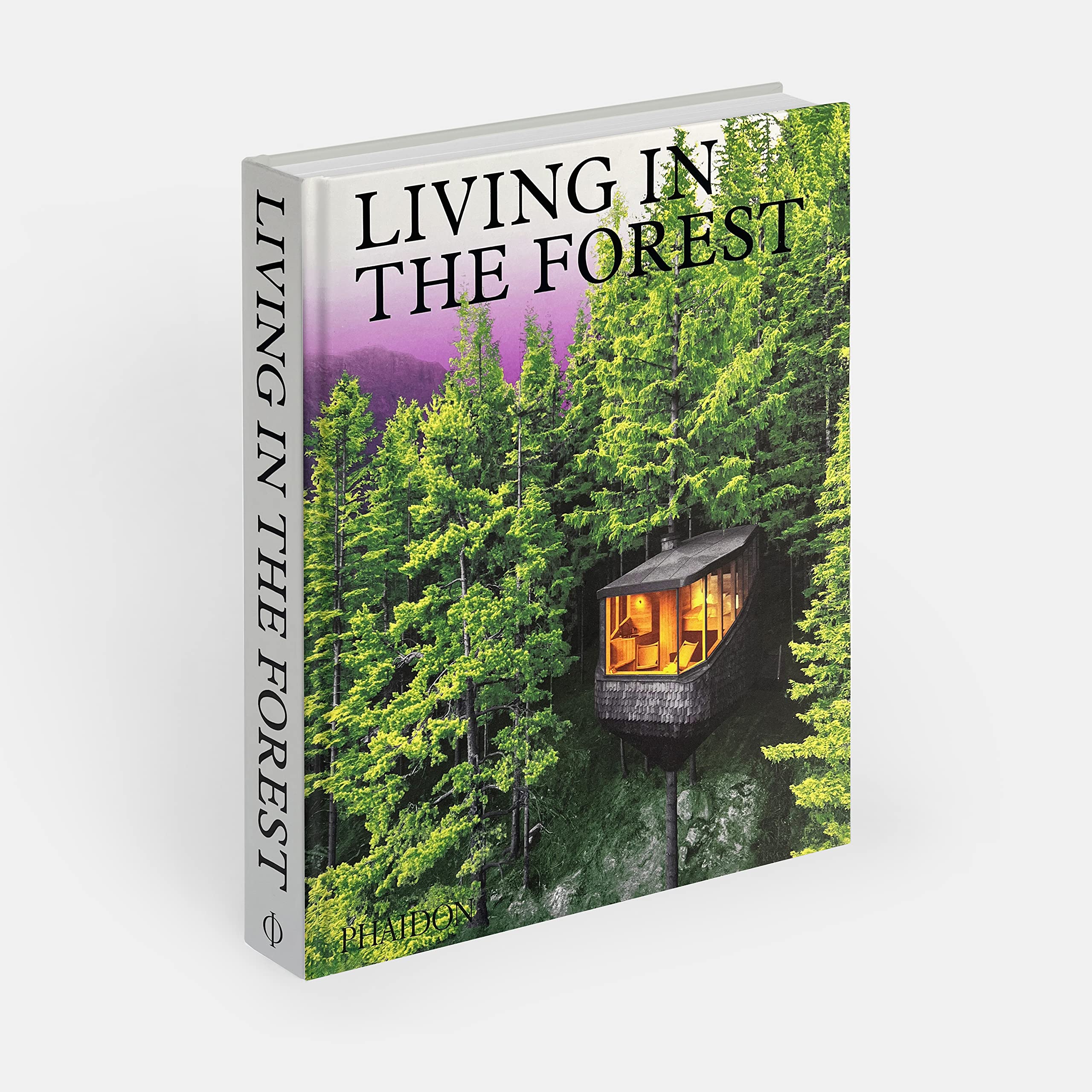 Living in the forest: Contemporary Houses in the Woods
