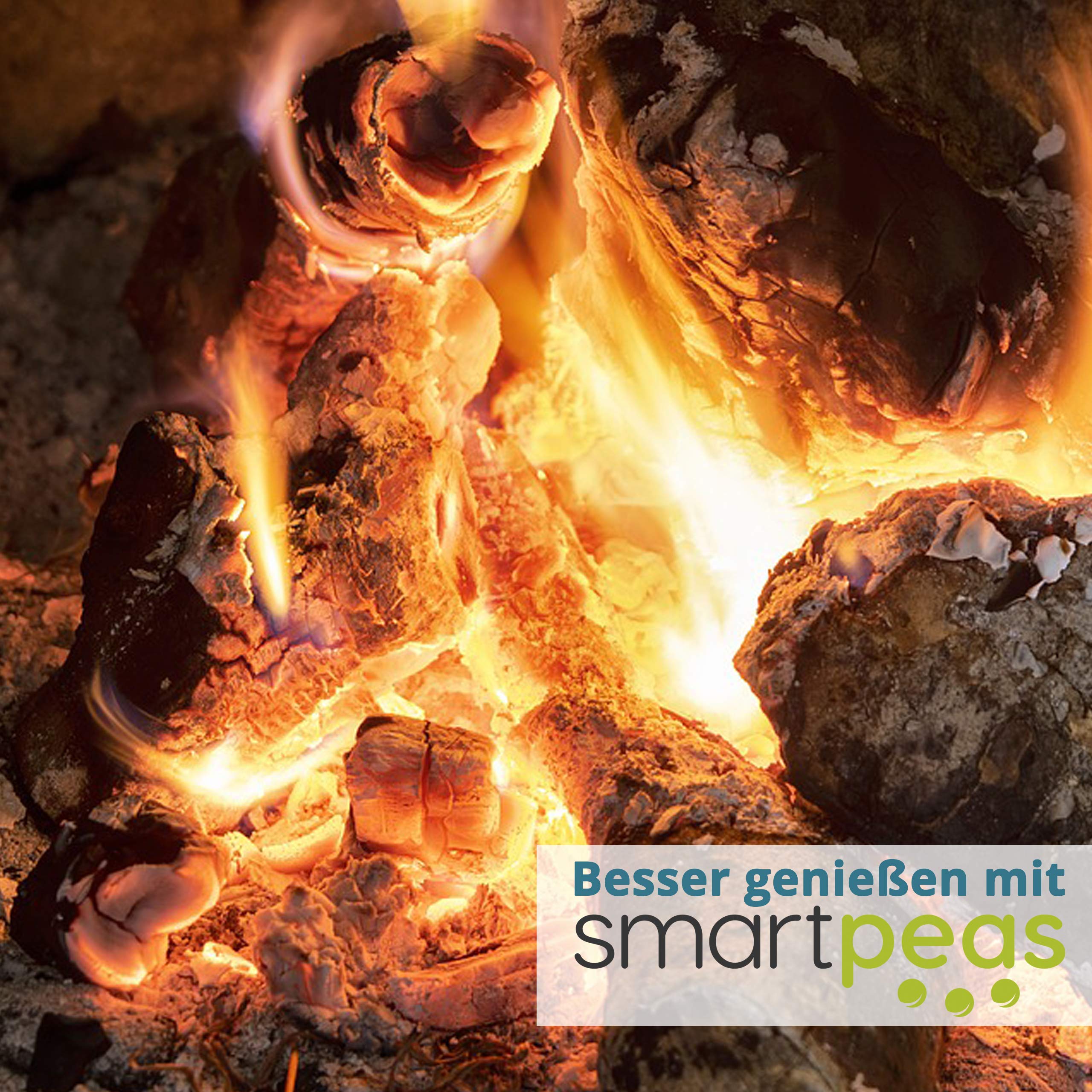 Flammlachsbrett Aus Birkenholz Zum Räuchern Und Grillen Mit Neigbarer Edelstahl-Halterung +Plus: Silikon-Handschuhe