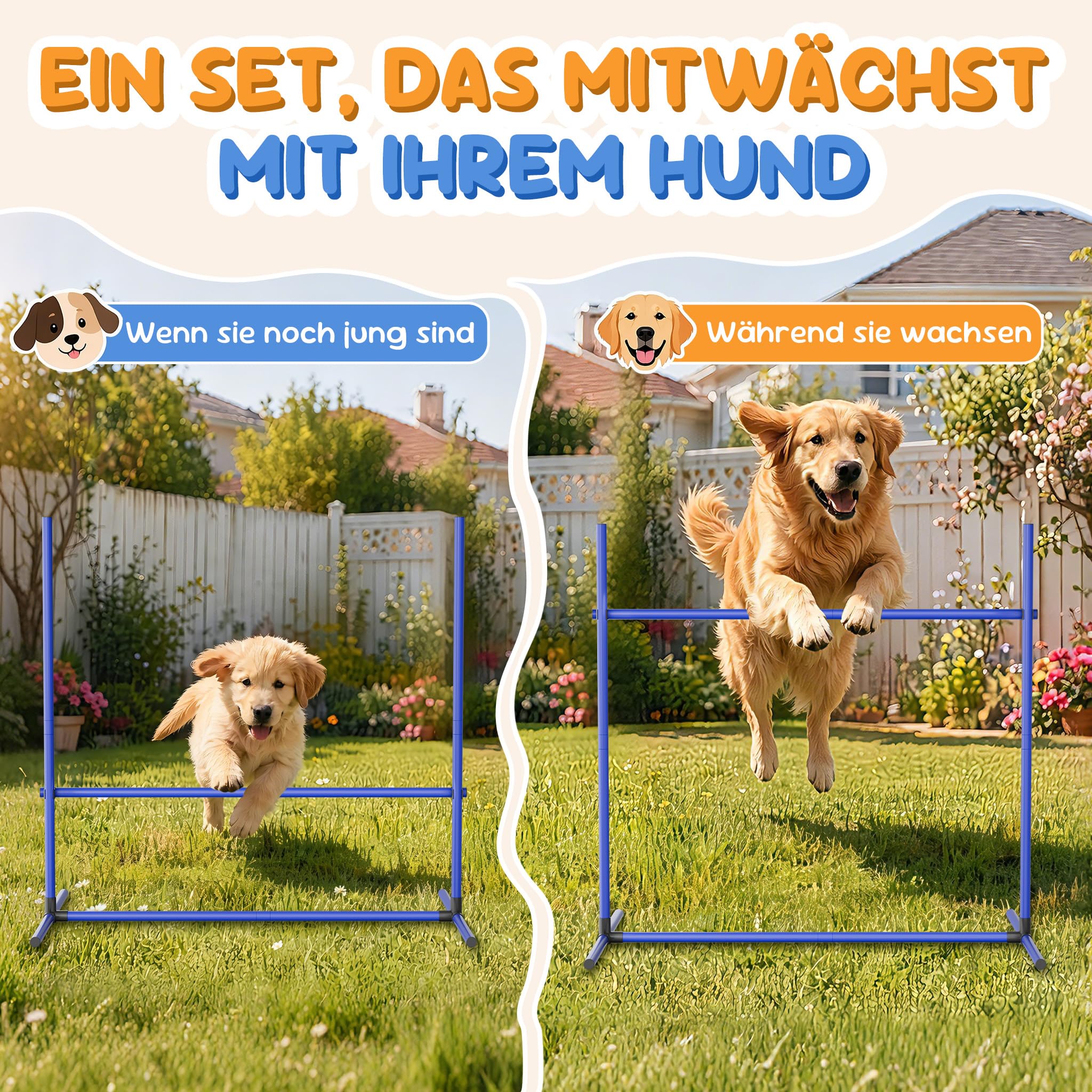 XMTECH Juego de entrenamiento de agilidad para perros, altura regulable, incluye bolsa, juego de entrenamiento para perros de PVC, color azul